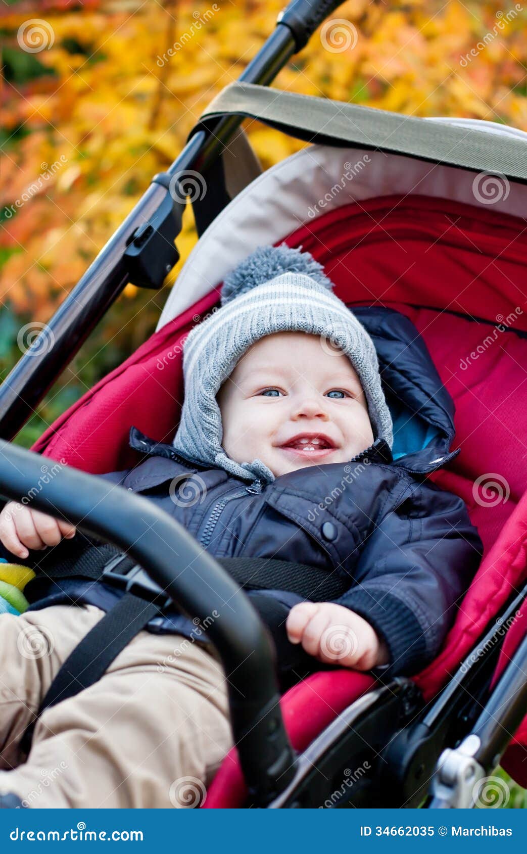 baby in a stroller