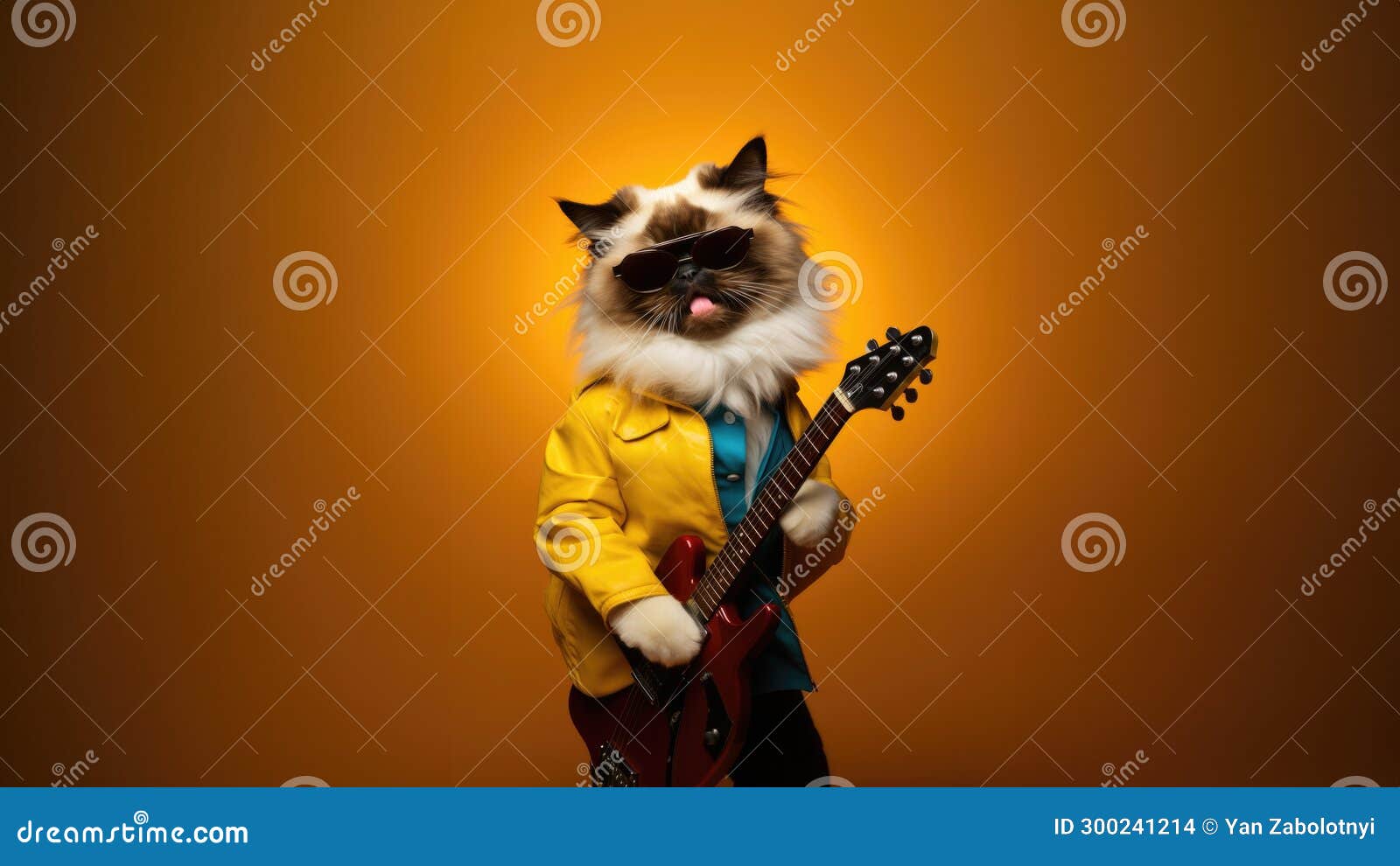 happy birman cat dressed as a rockstar on dark yellow colour background