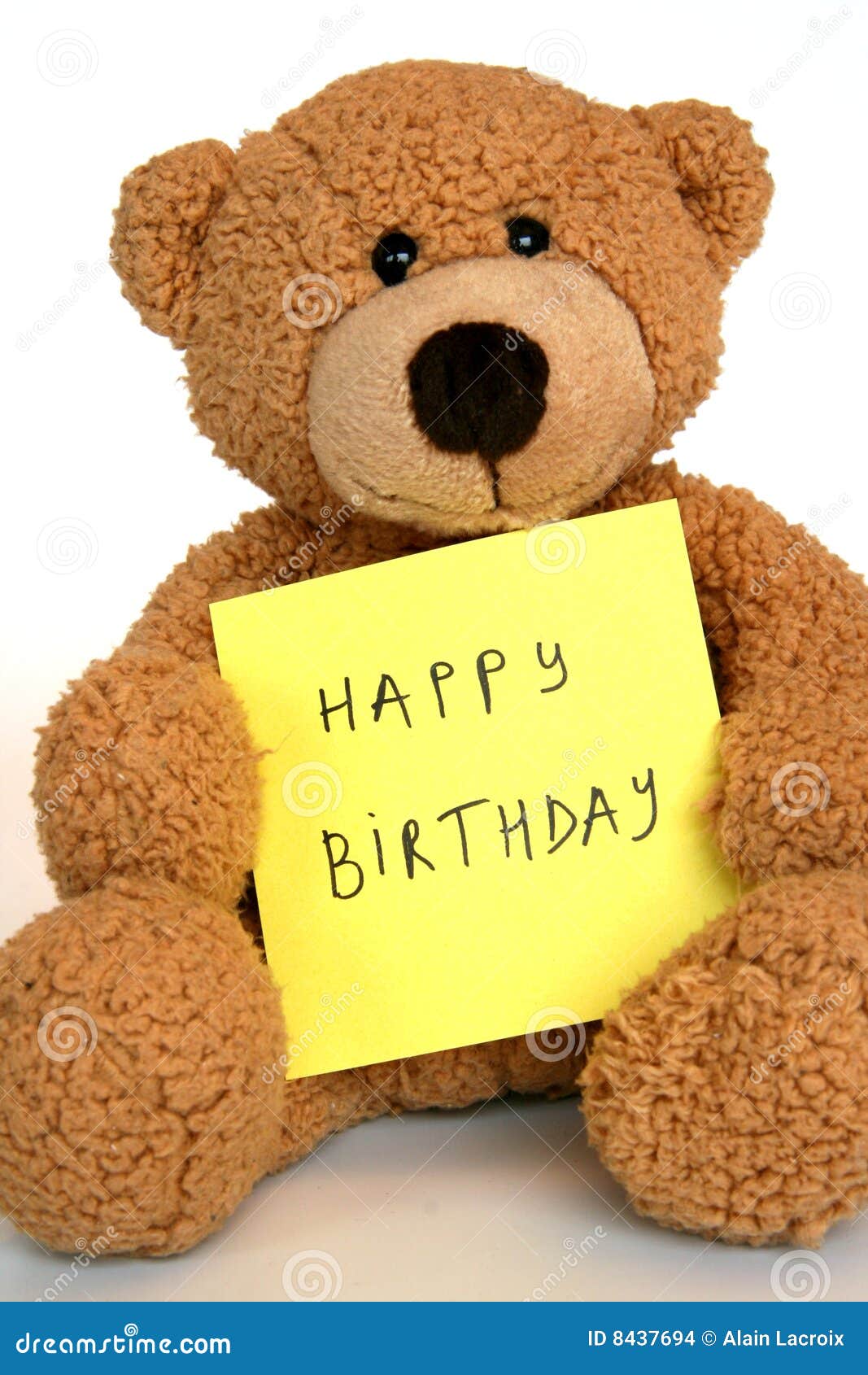 Birthday Bear