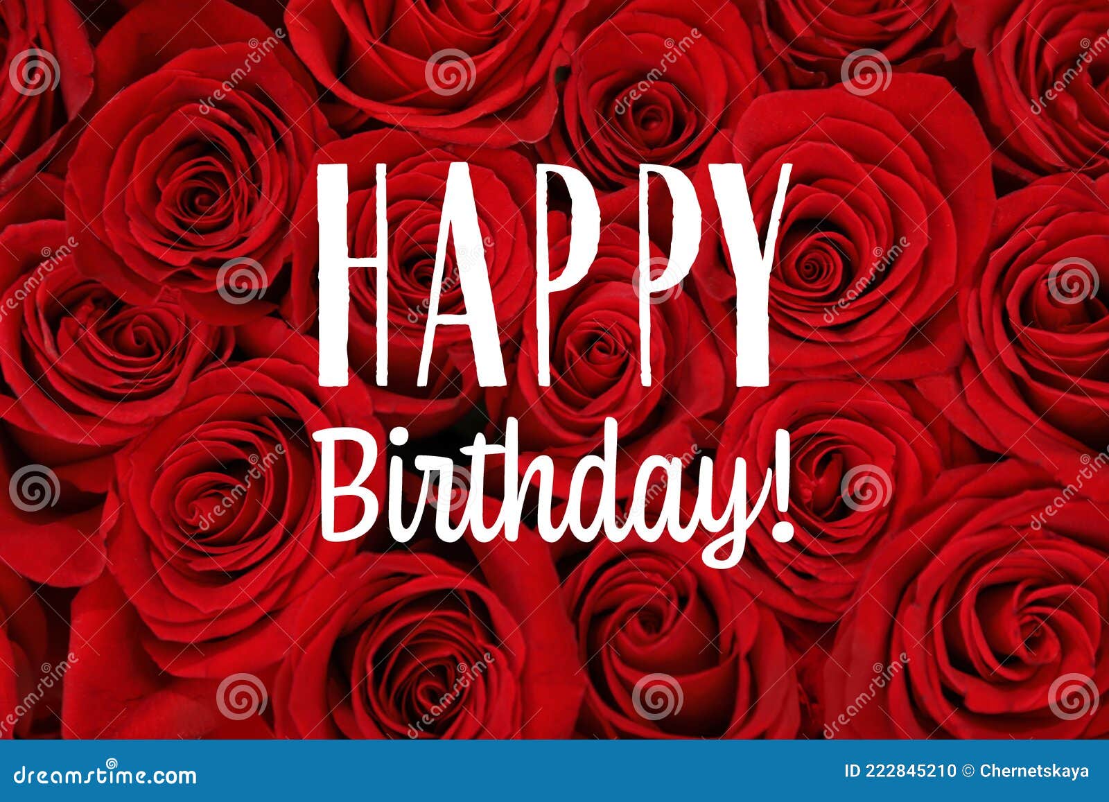 Happy Birthday! Beautiful Red Roses As Background, Closeup Stock ...