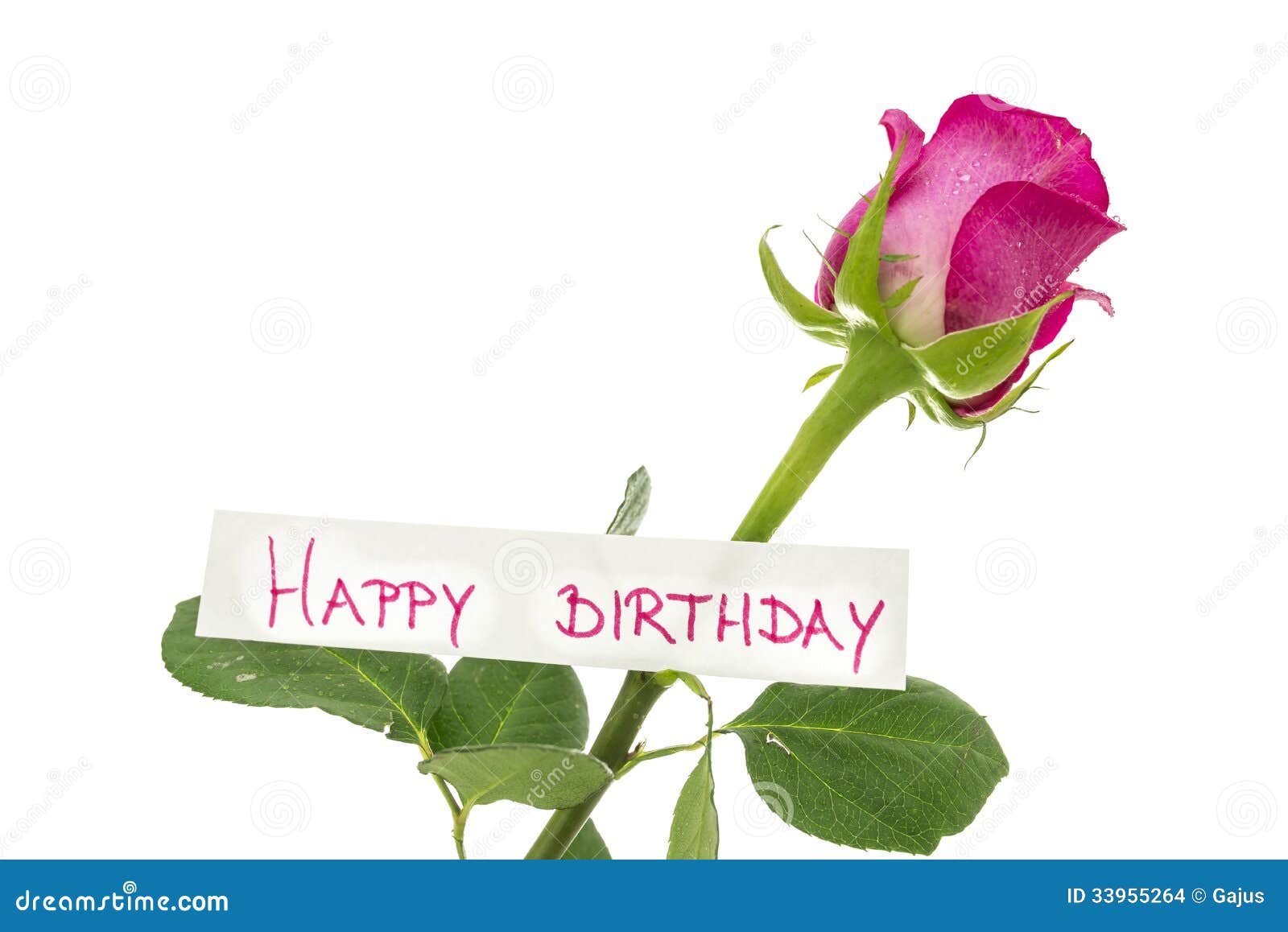 Happy Birthday Roses Images – Browse 117,700 Stock Photos, Vectors