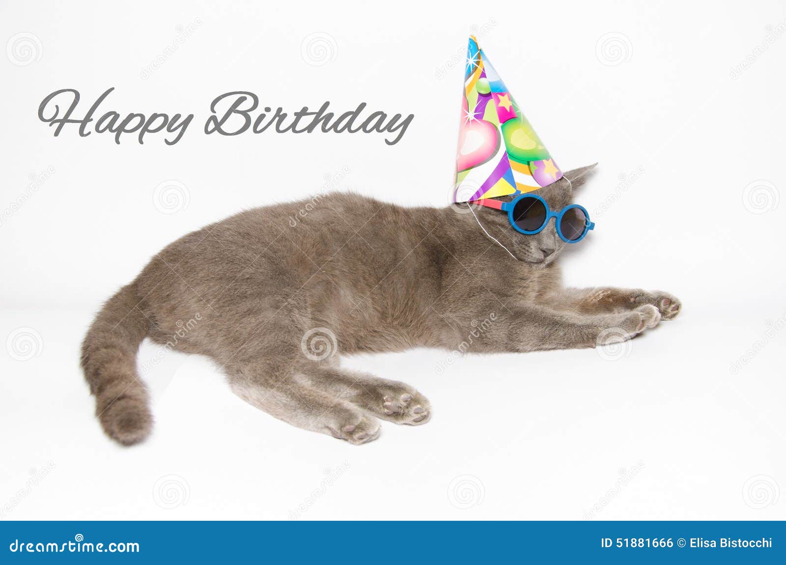 Happy birthday cat images free