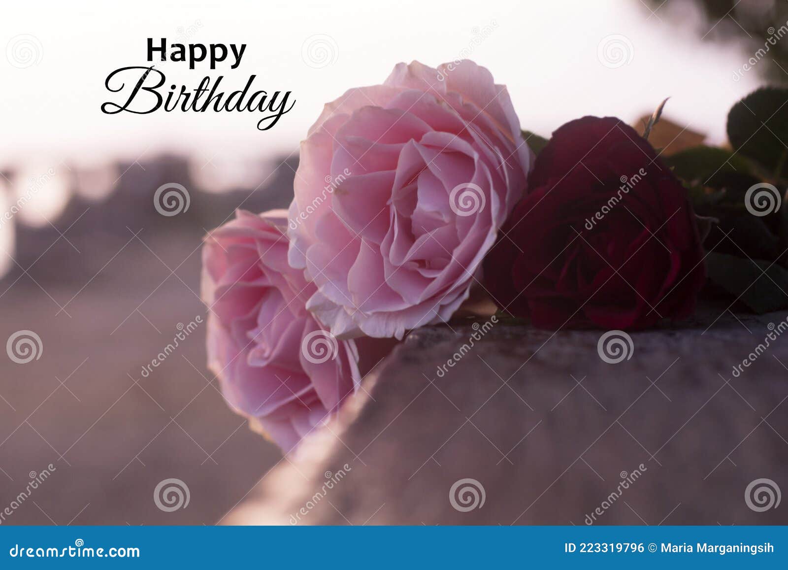 Happy Birthday. Birthday Card and Greeting with Soft Bouquet of ...