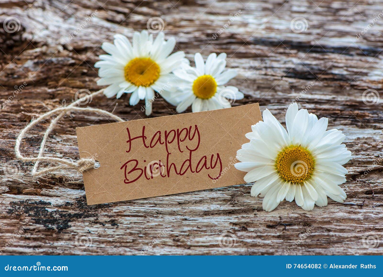 https://thumbs.dreamstime.com/z/happy-birthday-daisy-flowers-tag-wooden-background-74654082.jpg