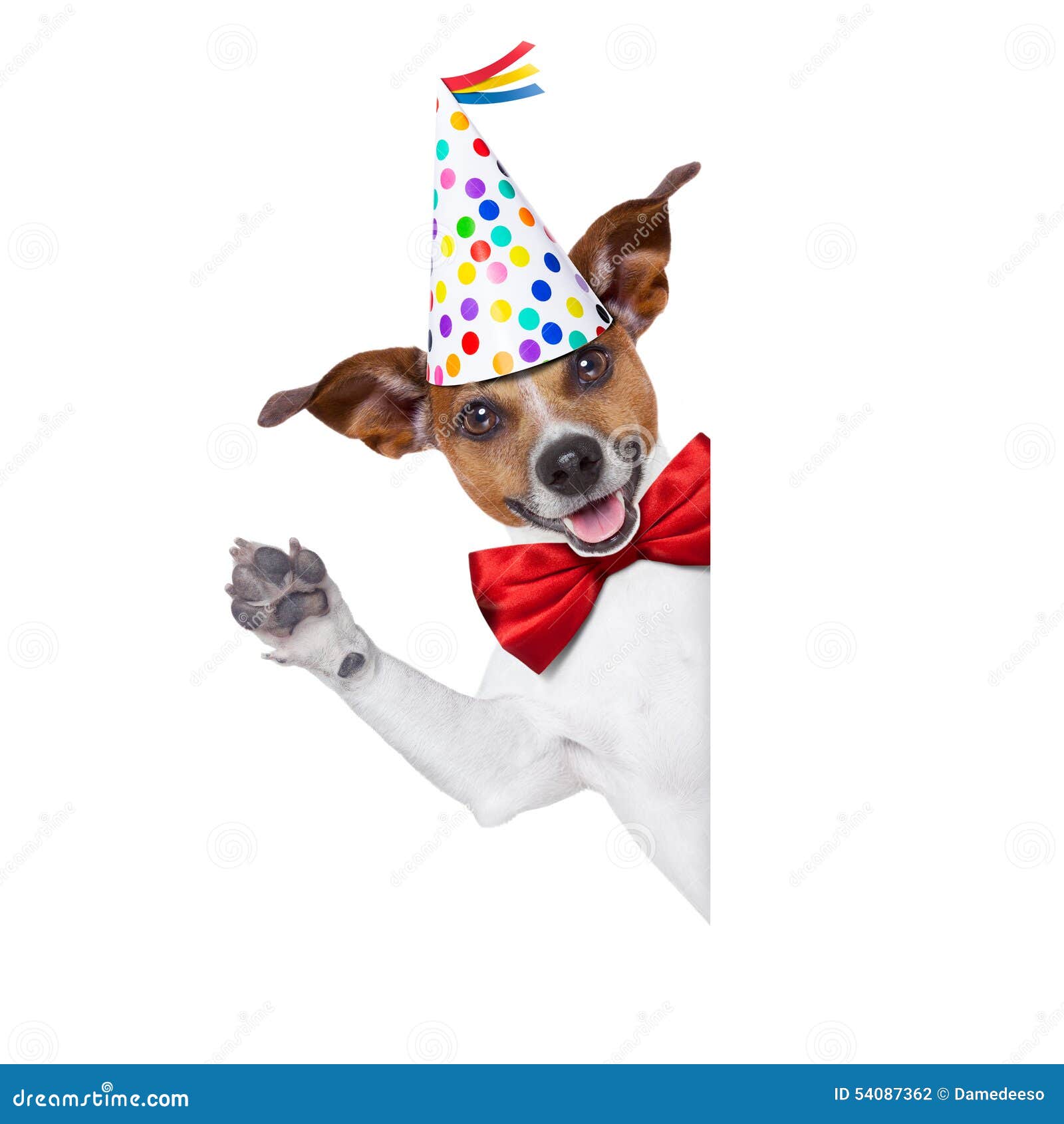 Border Terrier Birthday Cake Border Terrier Birthday Cake