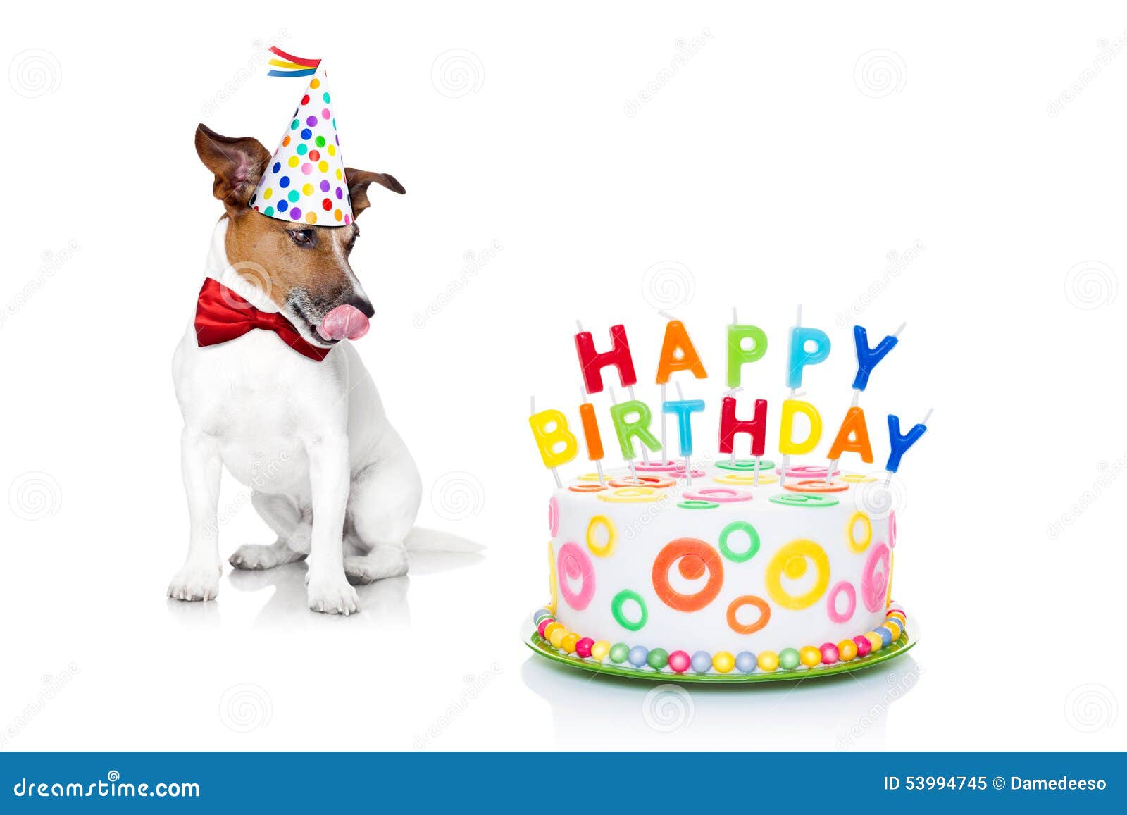 Happy Birthday Dog Stock Photo - Image: 539947451300 x 957