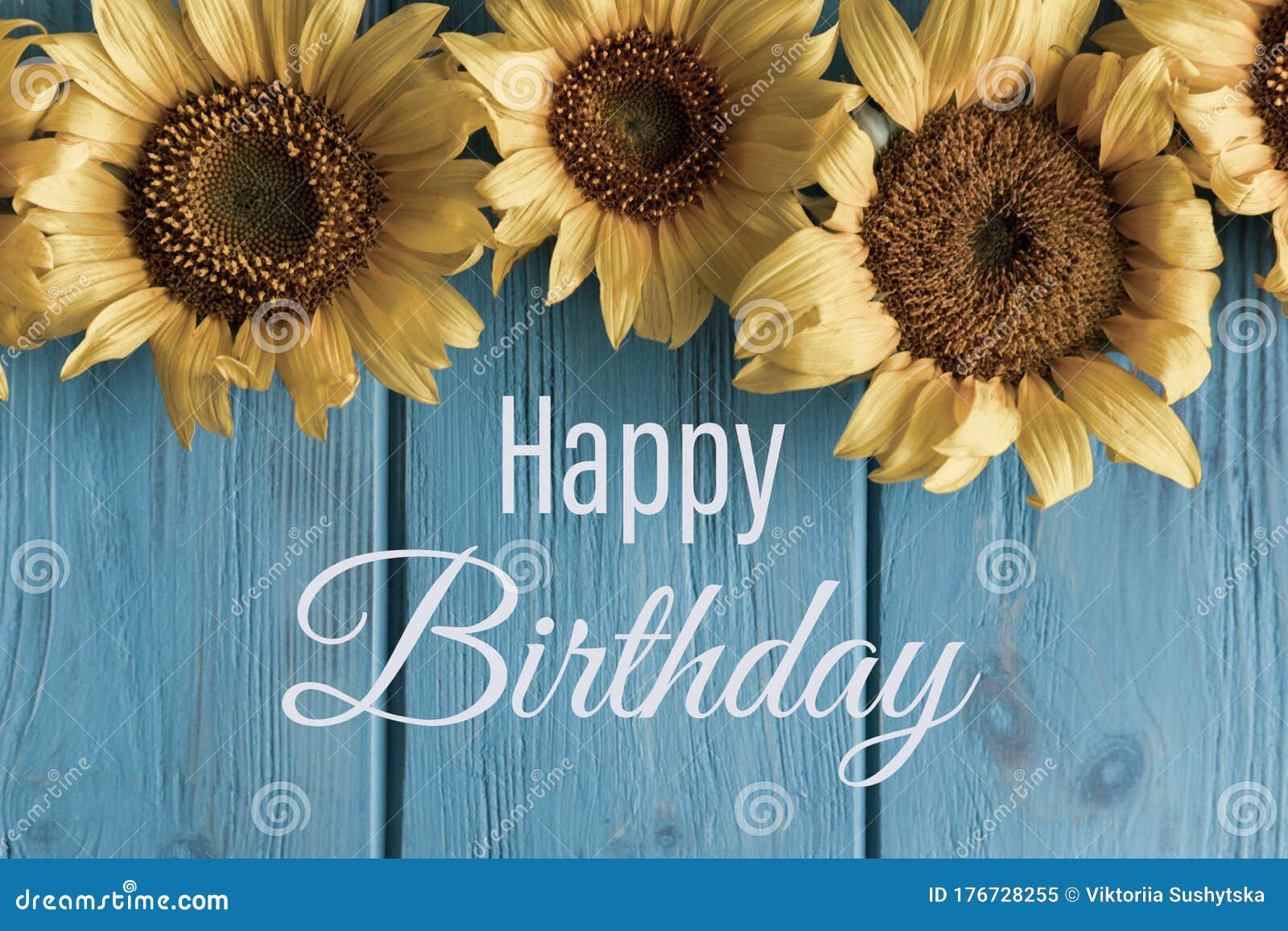 Happy Birthday. Birthday Greeting Card with Sunflower Flowers and ...