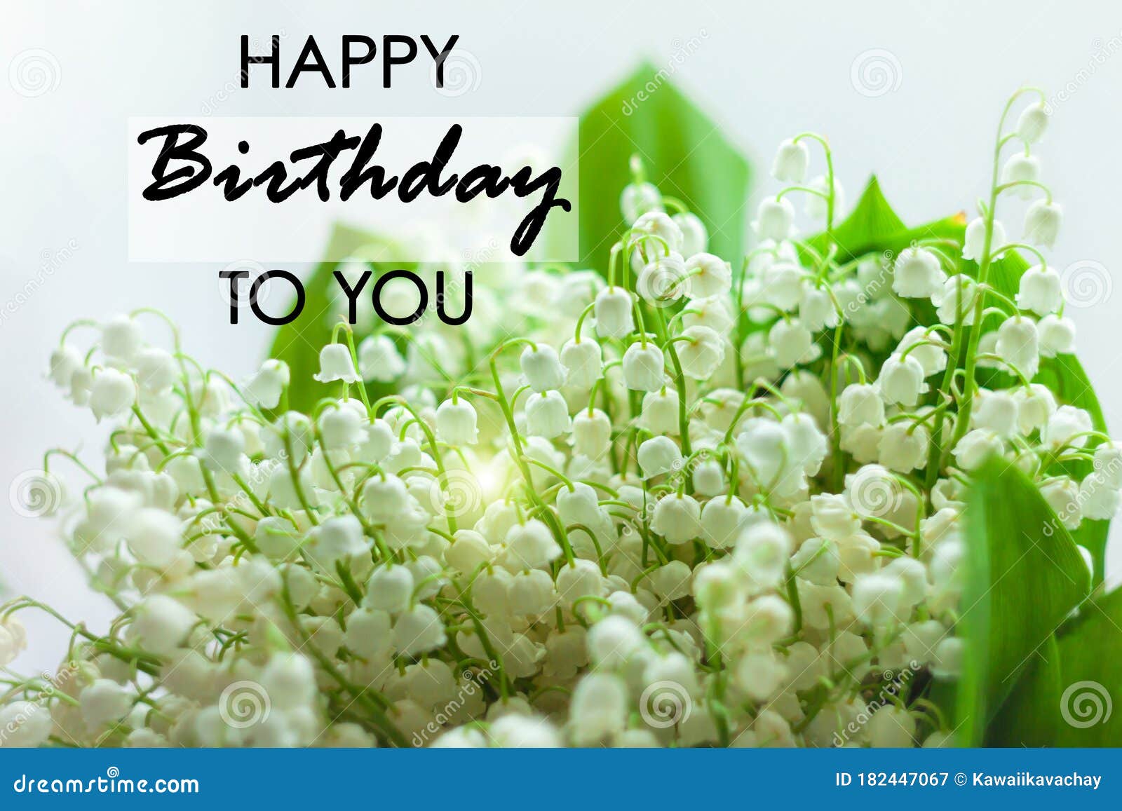 Happy Birthday To You Text Sign. Blooming Lilies of the Valley ...