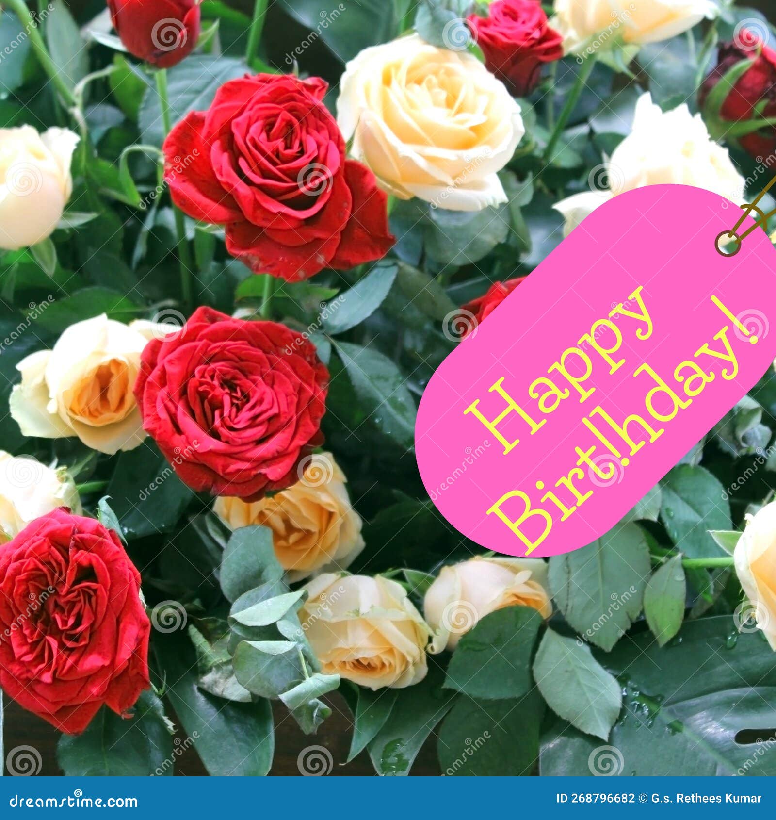 Happy Birthday Note And Colorful Bouquet Of Roses Stock Photo