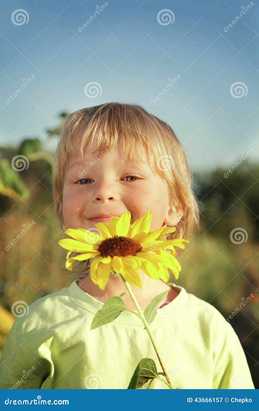 Happy boy with sunflower stock image. Image of enjoyment 43666157