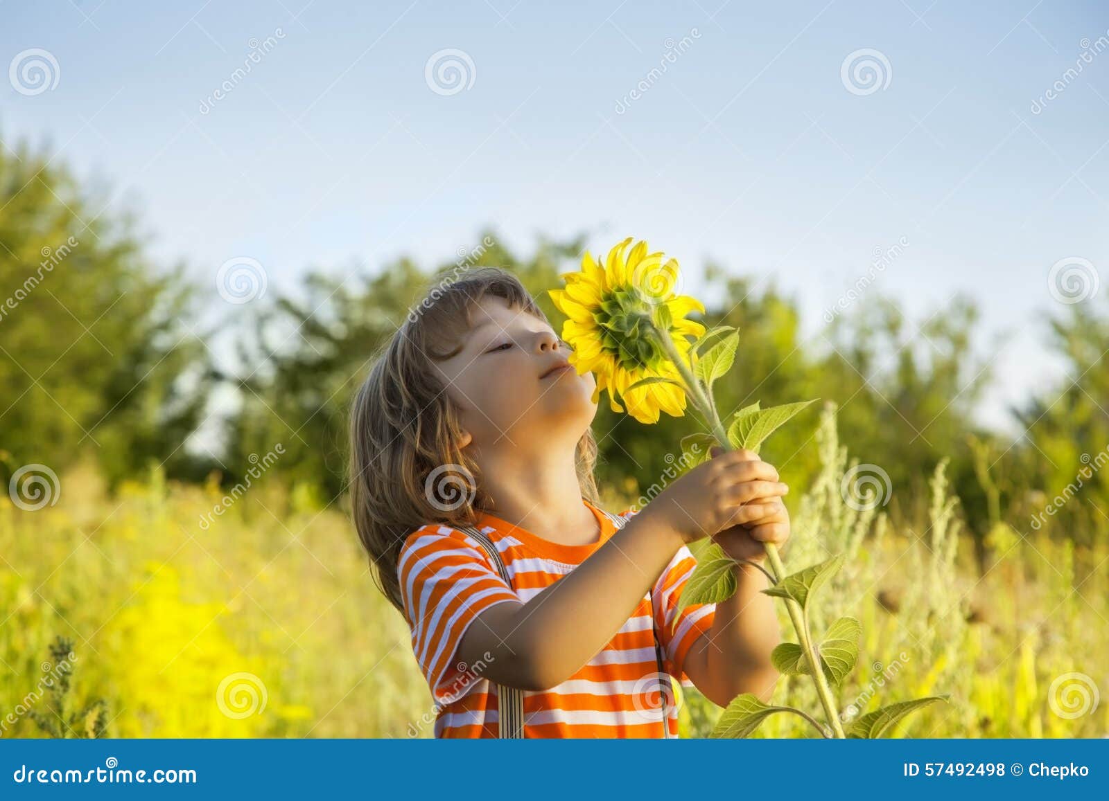 Happy boy with sunflower stock photo. Image of nature 57492498