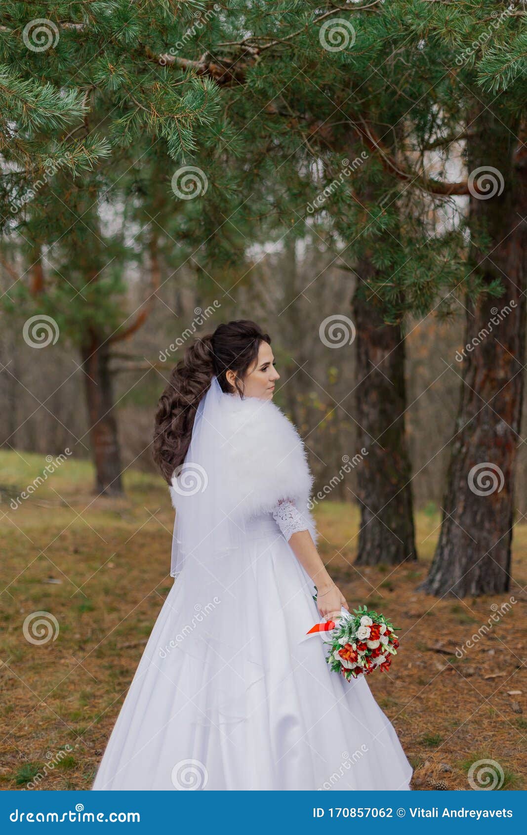 Happy Bride in a Beautiful Wedding Dress Stands by the Pine Tree. Stock