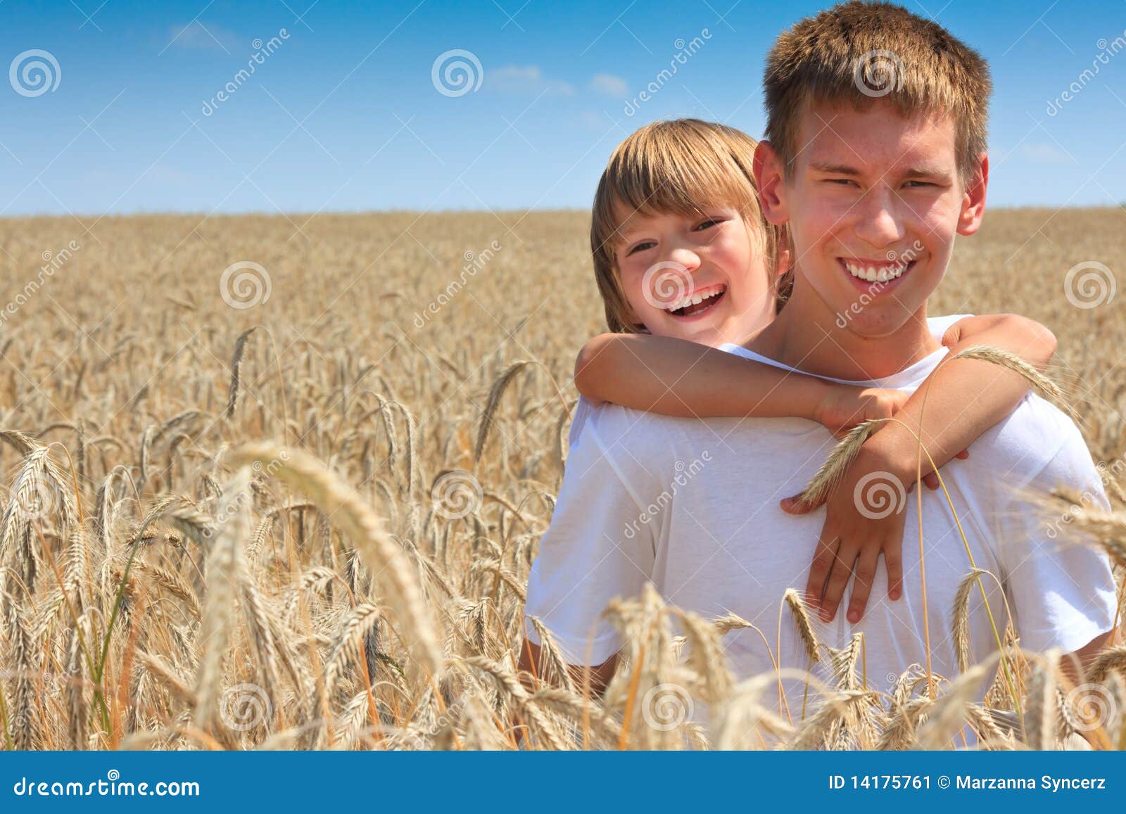 Happy Brothers in Corn Field Stock Image Image of cornfield, brothers