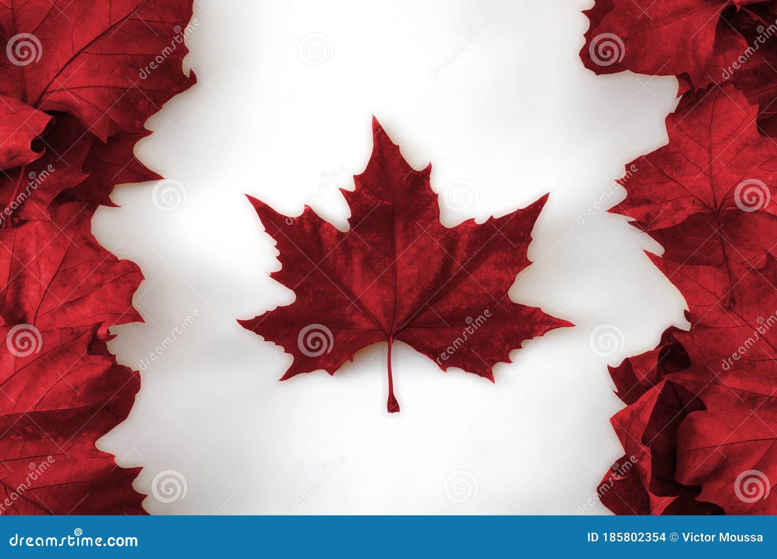 canada day background with maple leafs and canada flag happy