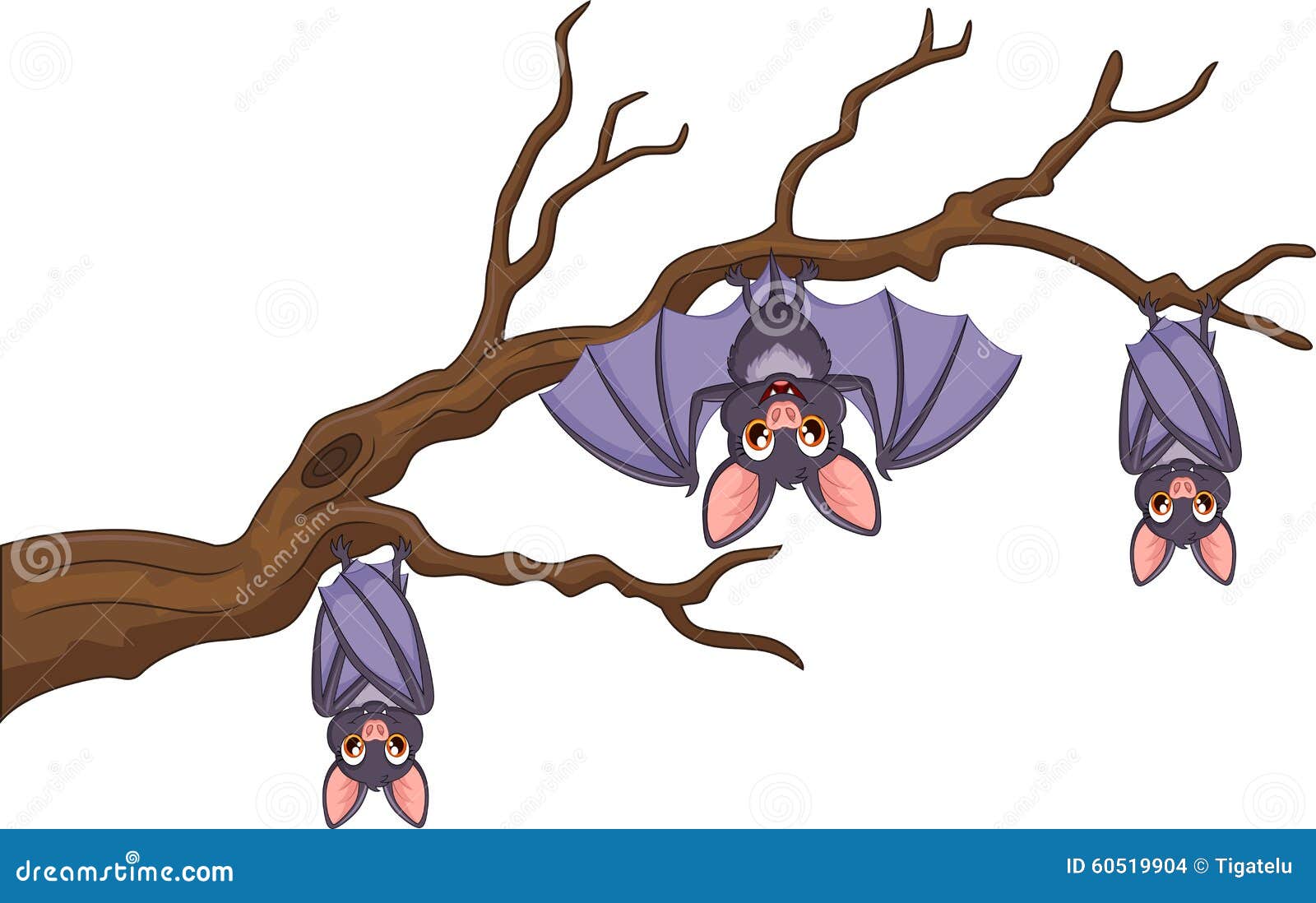 Images Of Cartoon Bat Hanging Upside Down
