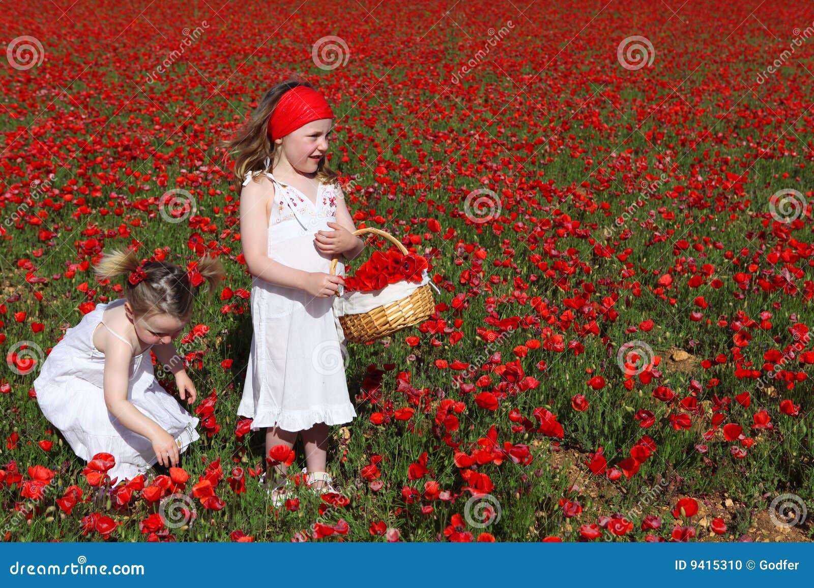 Happy Children Playing Picking Flowers Stock Photo Image of poppies
