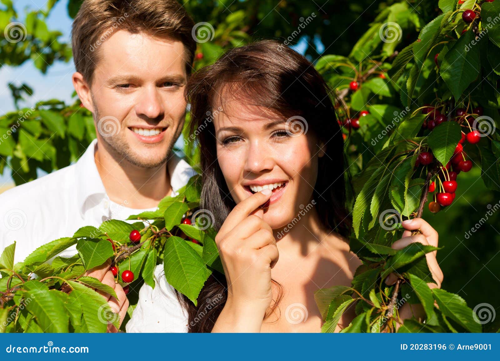 Happy Couple Eating Cherries in Summer Stock Photo Image of nature