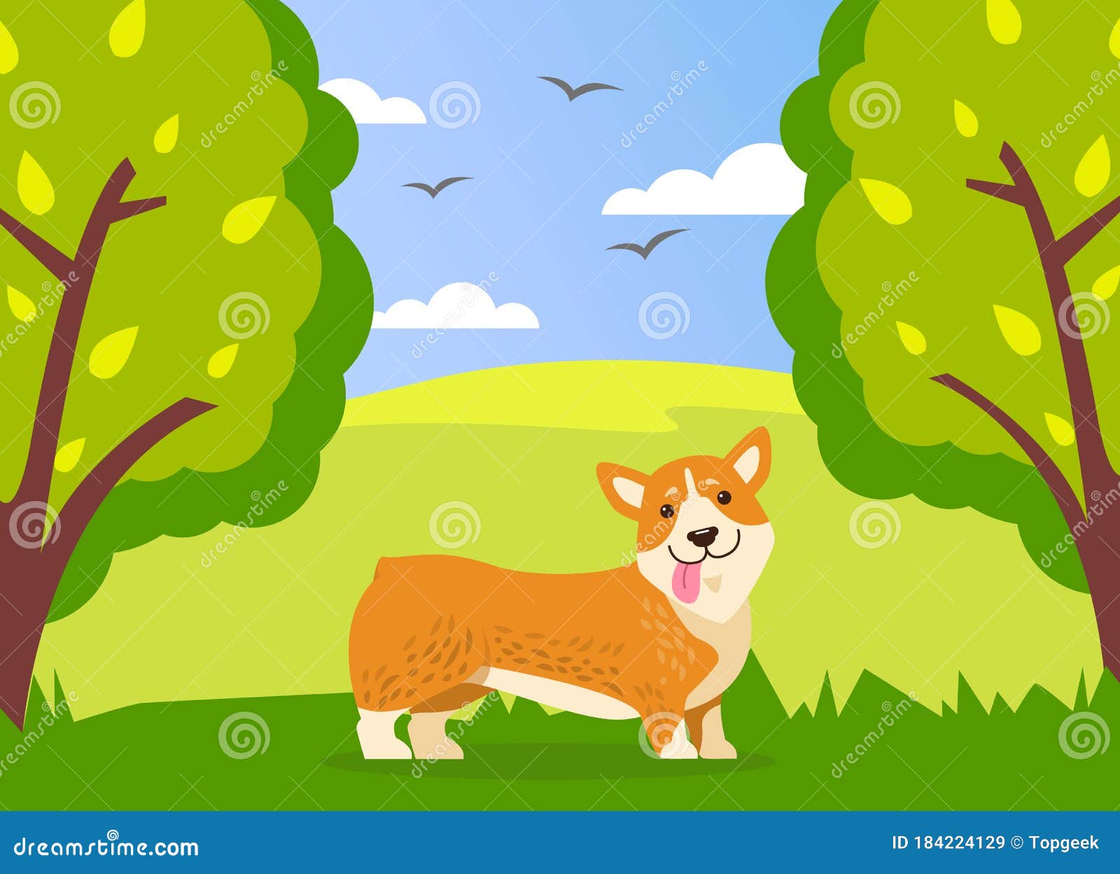 https://thumbs.dreamstime.com/z/happy-cute-corgi-dog-walking-green-summer-park-funny-ginger-puppy-short-paws-tongue-happy-cute-corgi-dog-walking-184224129.jpg