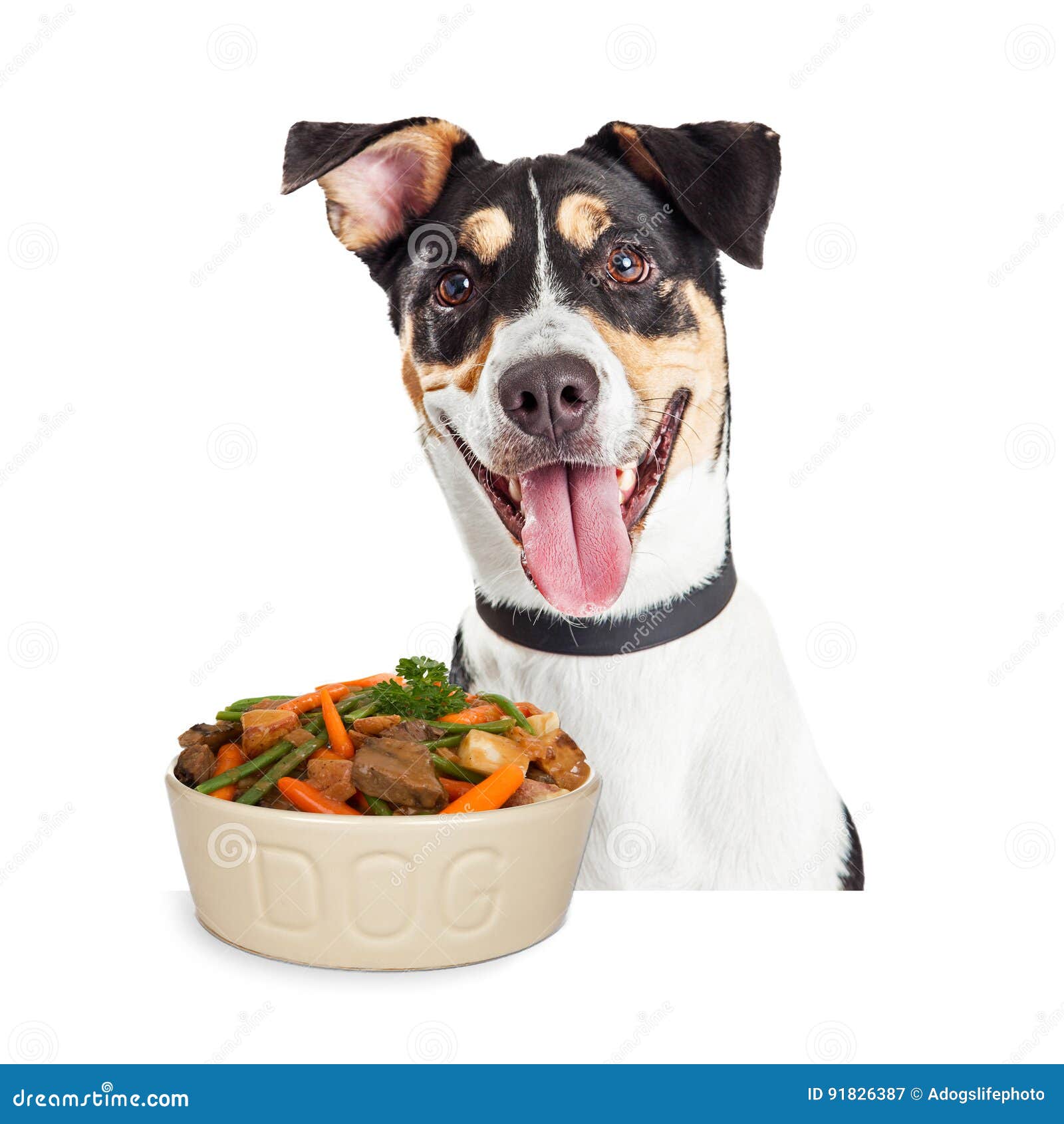 happy dog with bowl of homemade food