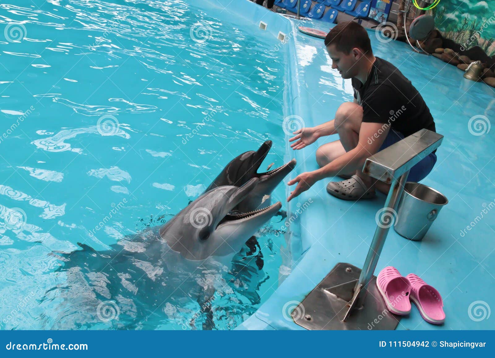 Happy dolphin sun bathing editorial photography. Image of aquatic