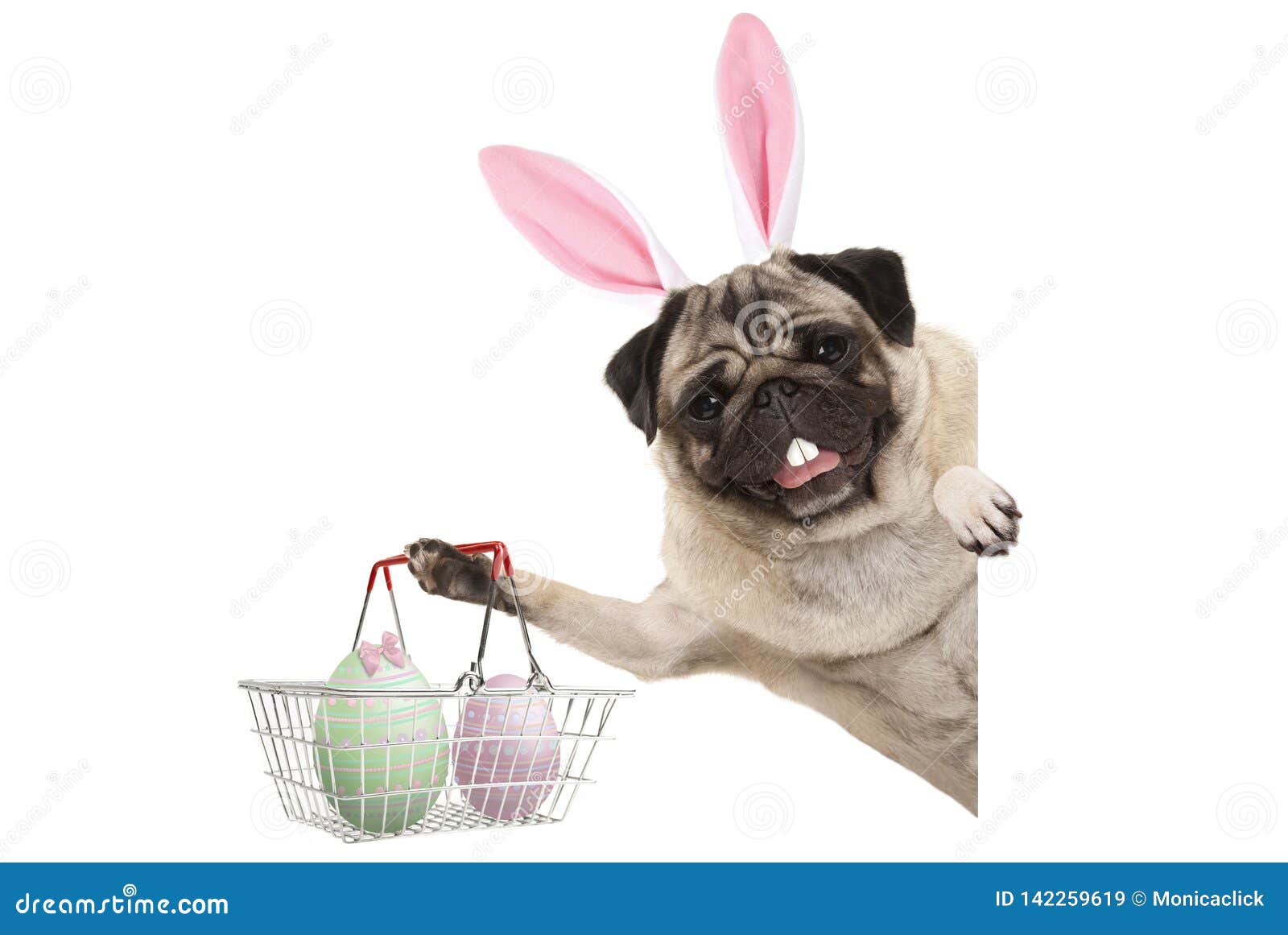 happy easter bunny pug dog with bunny teeth and pastel easter eggs in wire metal shopping basket