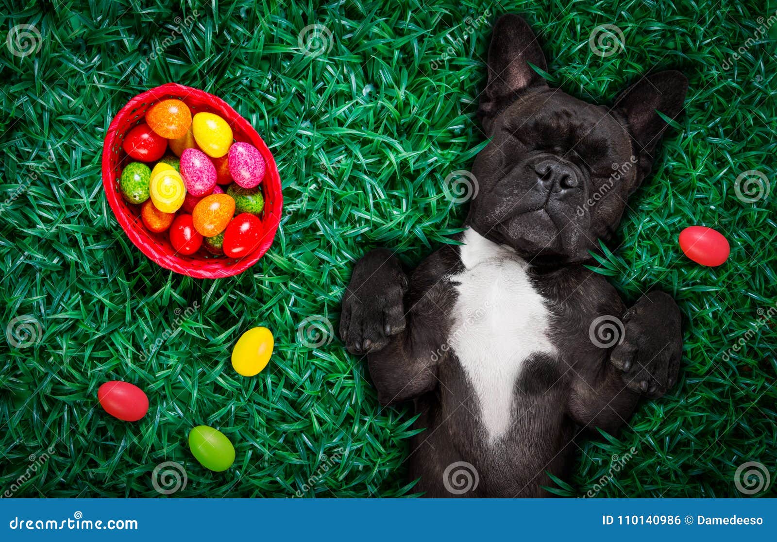 happy easter french bulldog