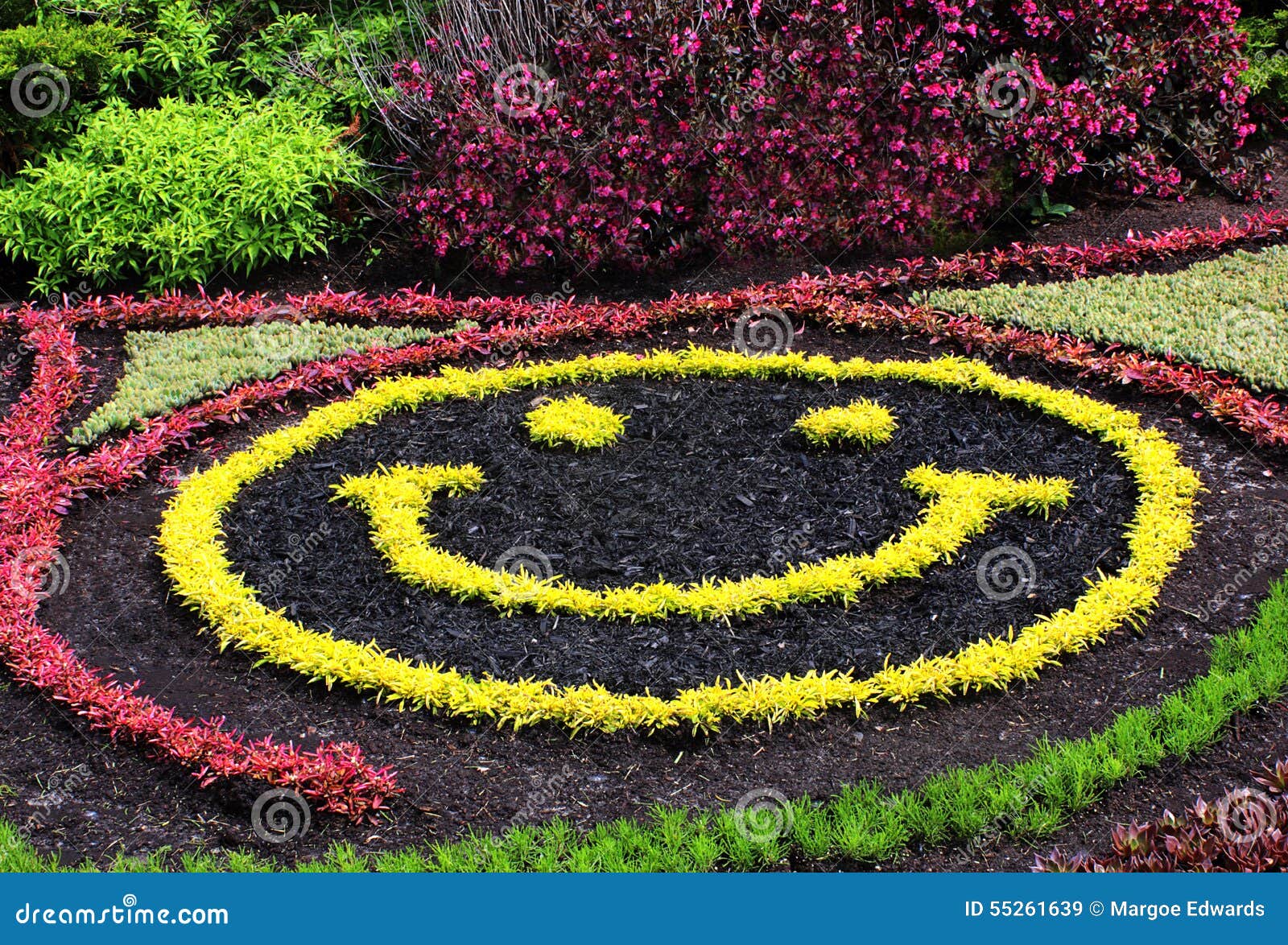 Happy face garden stock image. Image of space, foliage 55261639