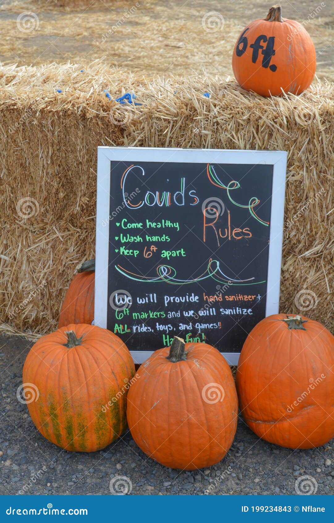 happy fall at the pumpkin patch in ontario, malheur county, oregon