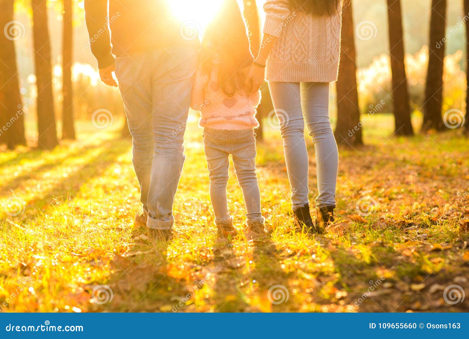 happy family at sunset in the forest stand with their backs in