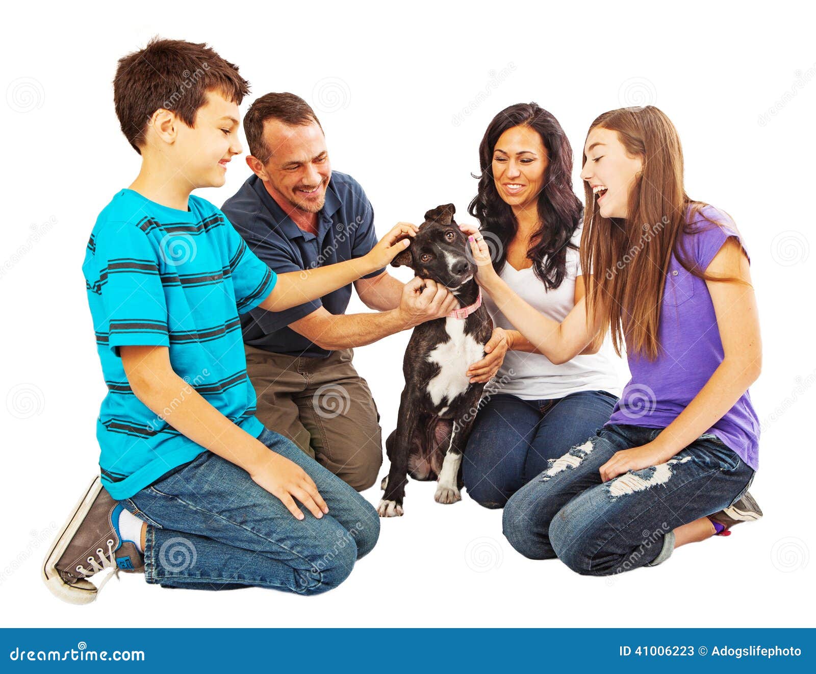 311 Petting Dog Indoors Family Stock Photos Adult Pic Hq