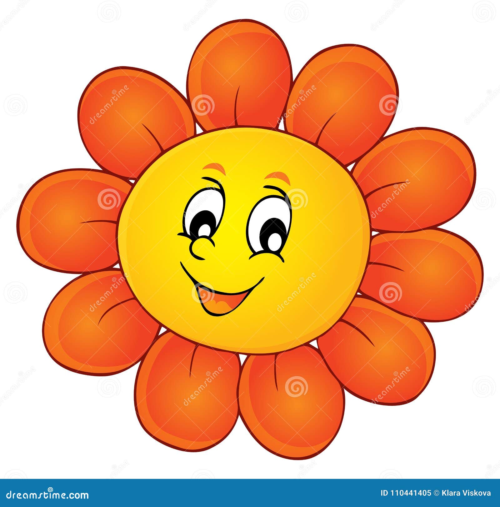Flower Head Or Pseudanthium In Cross Section. Structure Of Sunflower
