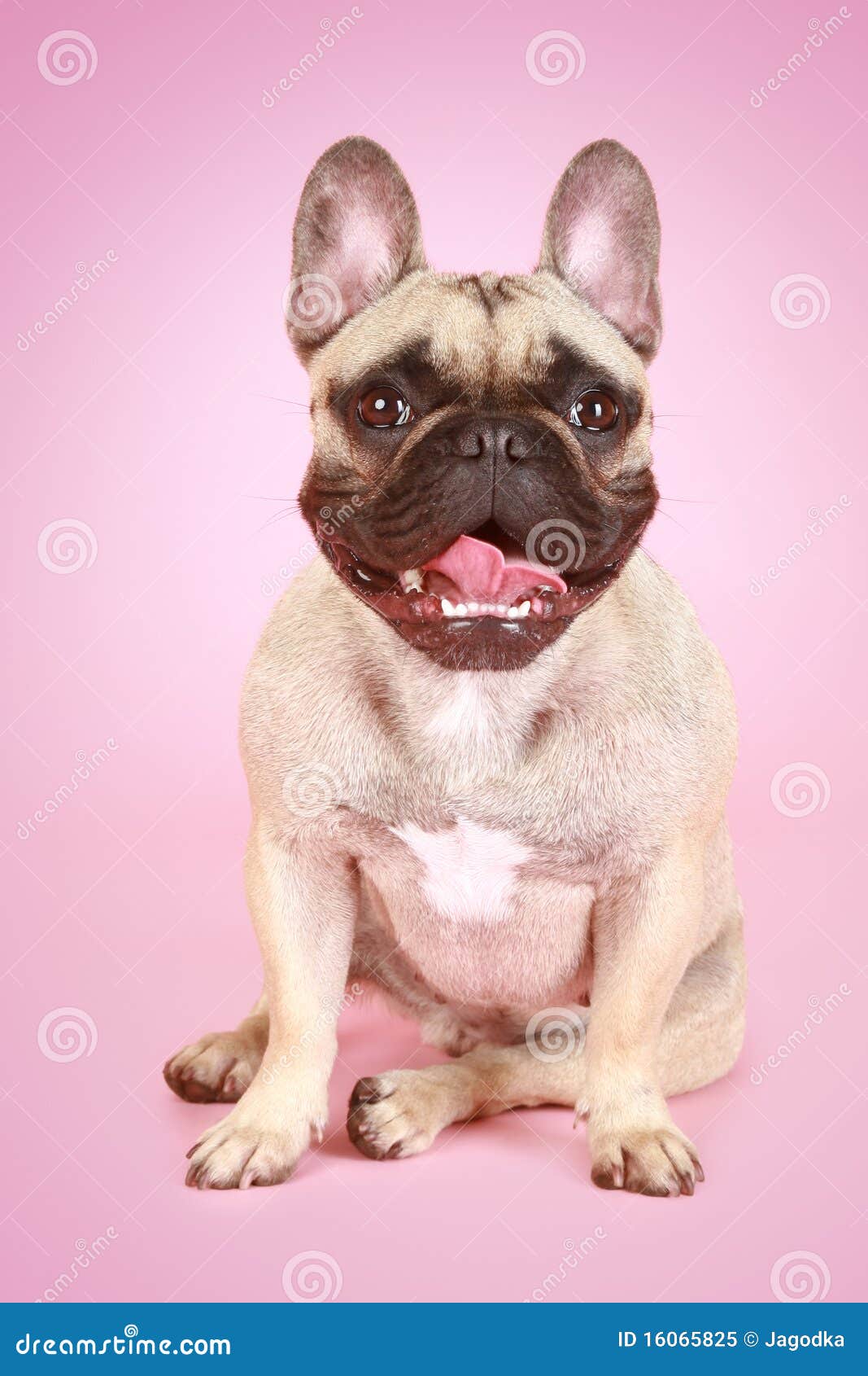 Freepik Funny French Bulldog Puppies Dog Costume DELIFUR Cow Pet