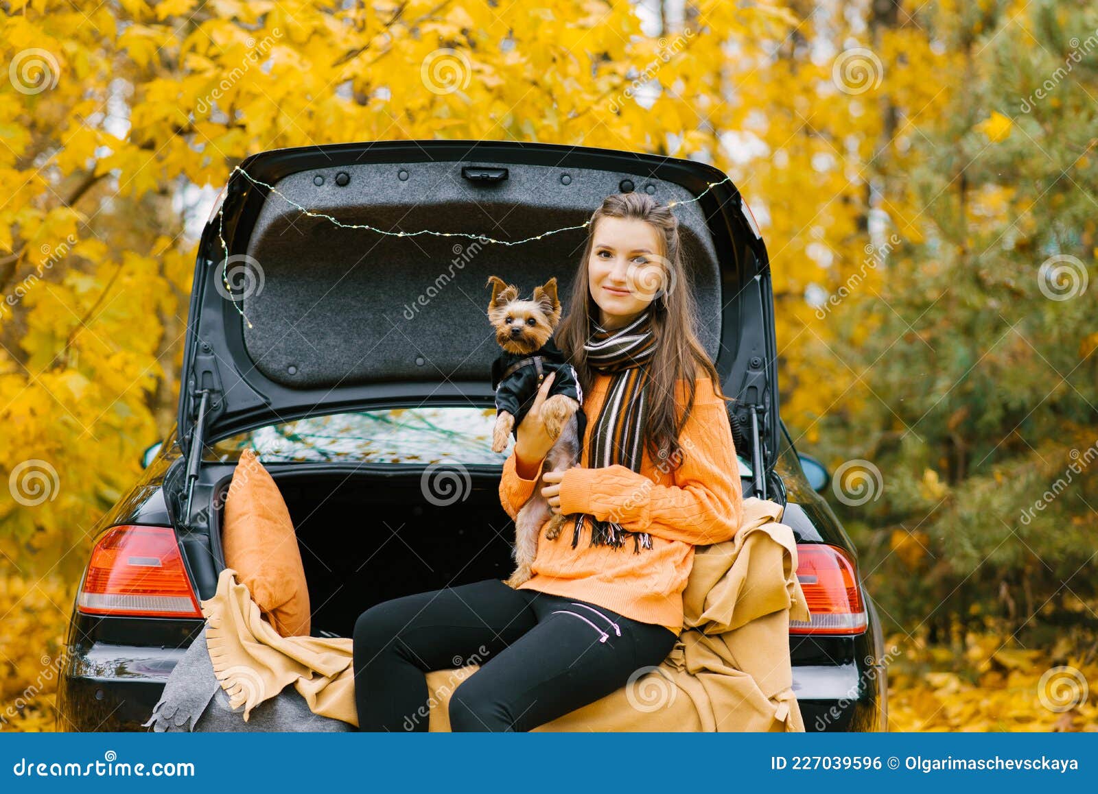 Happy Girl and Dog Sitting in the Trunk of a Car in Nature. Friendship of a  Man and a Dog, Travel, Camping on an Autumn Background Stock Photo - Image  of purebred,