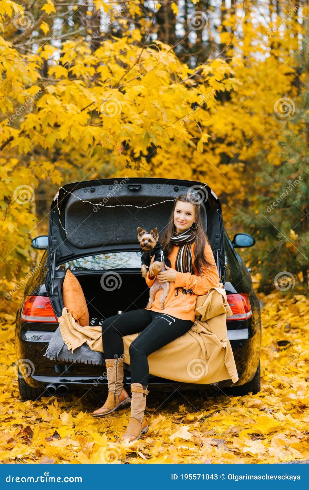 Happy Girl and Dog Sitting in the Trunk of a Car in Nature. Friendship of a  Man and a Dog, Travel, Camping on an Autumn Background Stock Image - Image  of background,