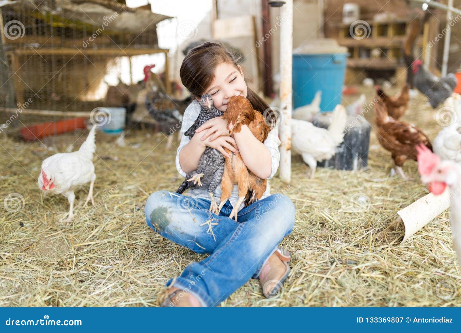 386 Animal Assisted Therapy Stock Photos - Free & Royalty-Free Stock Photos from Dreamstime 386 Animal Assisted Therapy Stock Photos - Free & Royalty-Free Stock Photos from Dreamstime