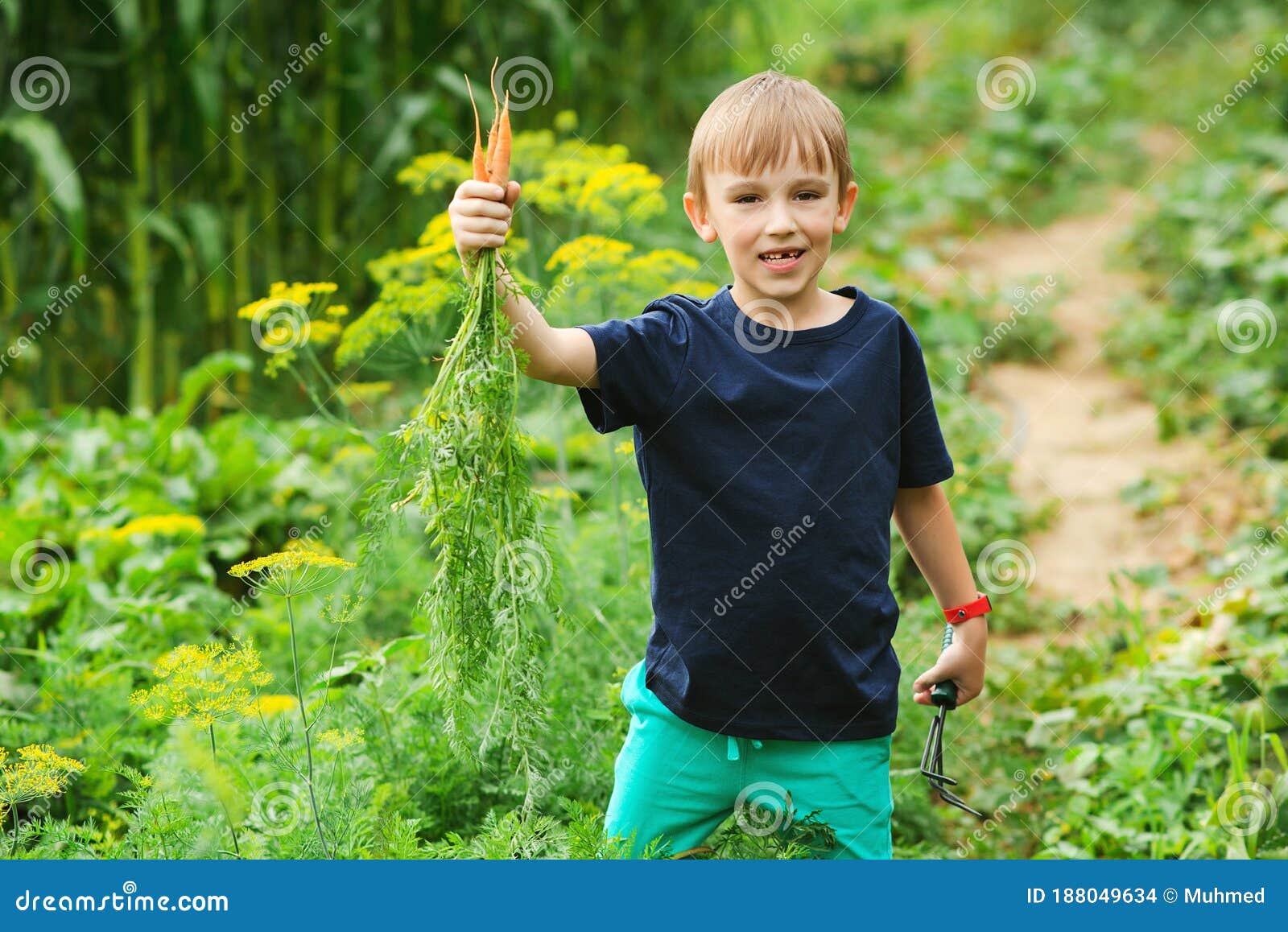 Happy Kid Holding Bunch of Carrots. Gardening. First Crop of ...