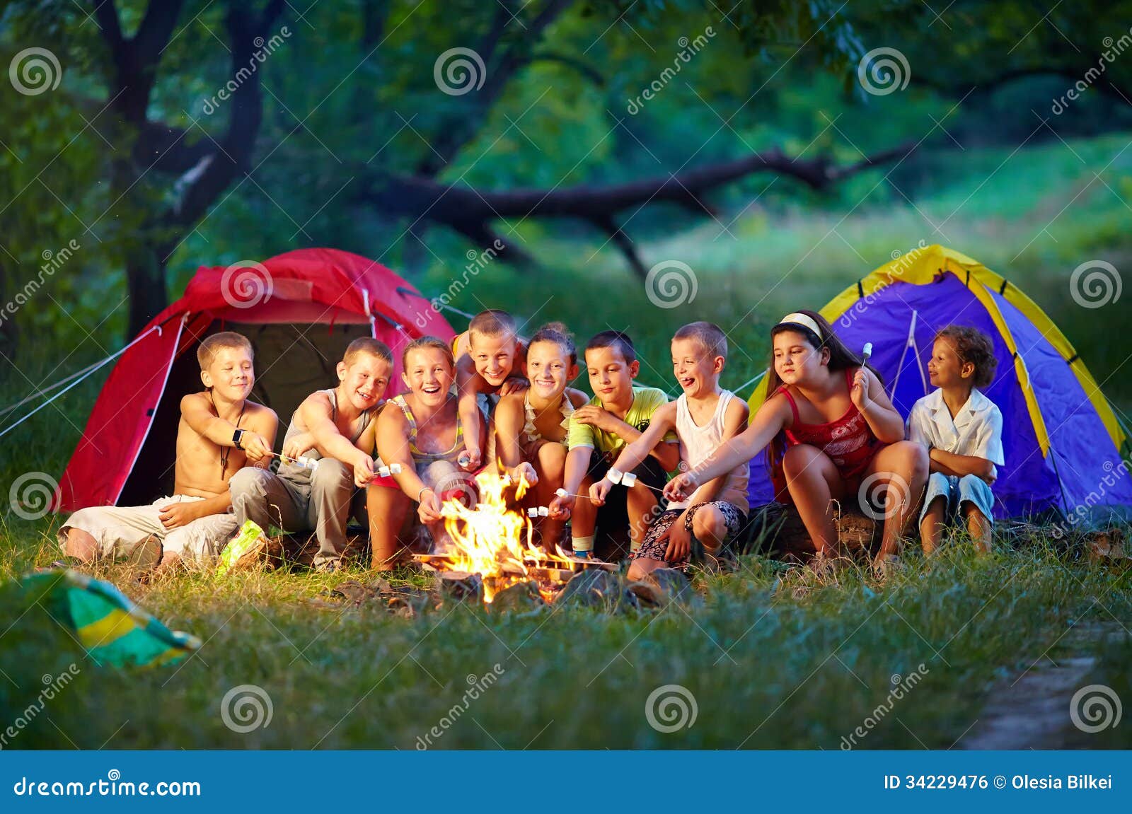 Happy Kids Roasting Marshmallows On Campfire Stock Photo Image 34229476