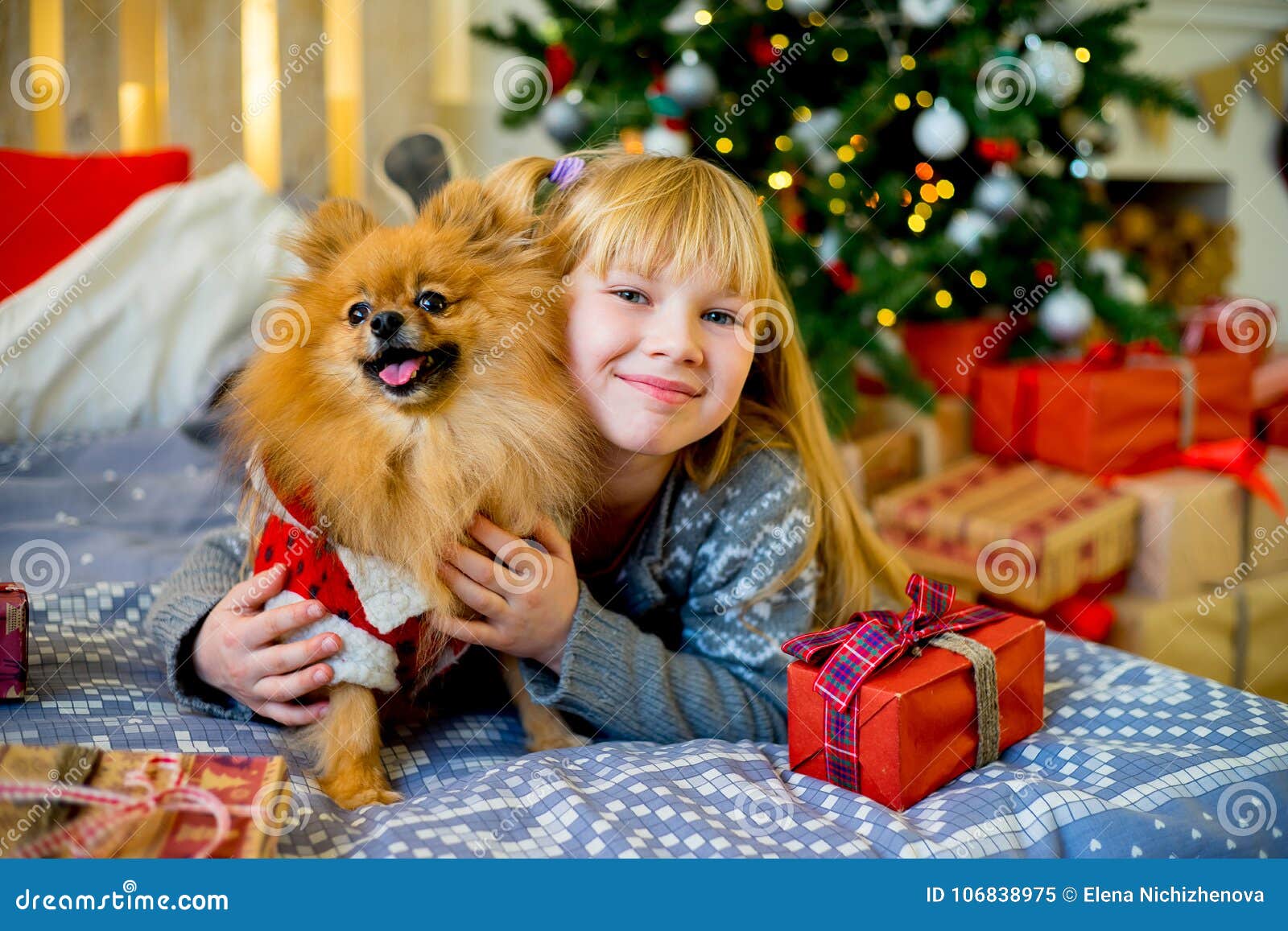Girl with dog on christmas stock image. Image of little - 106838975