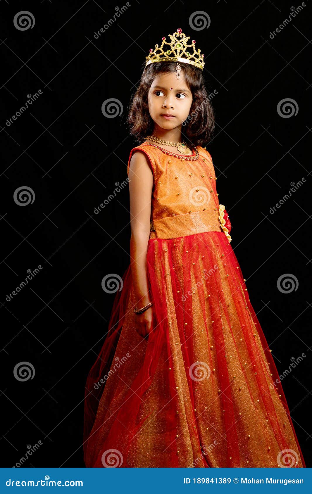 Woman in Traditional Indian Costume Lehenga Choli or Sari or Saree Stock  Photo - Image of gorgeous, expressions: 218444802