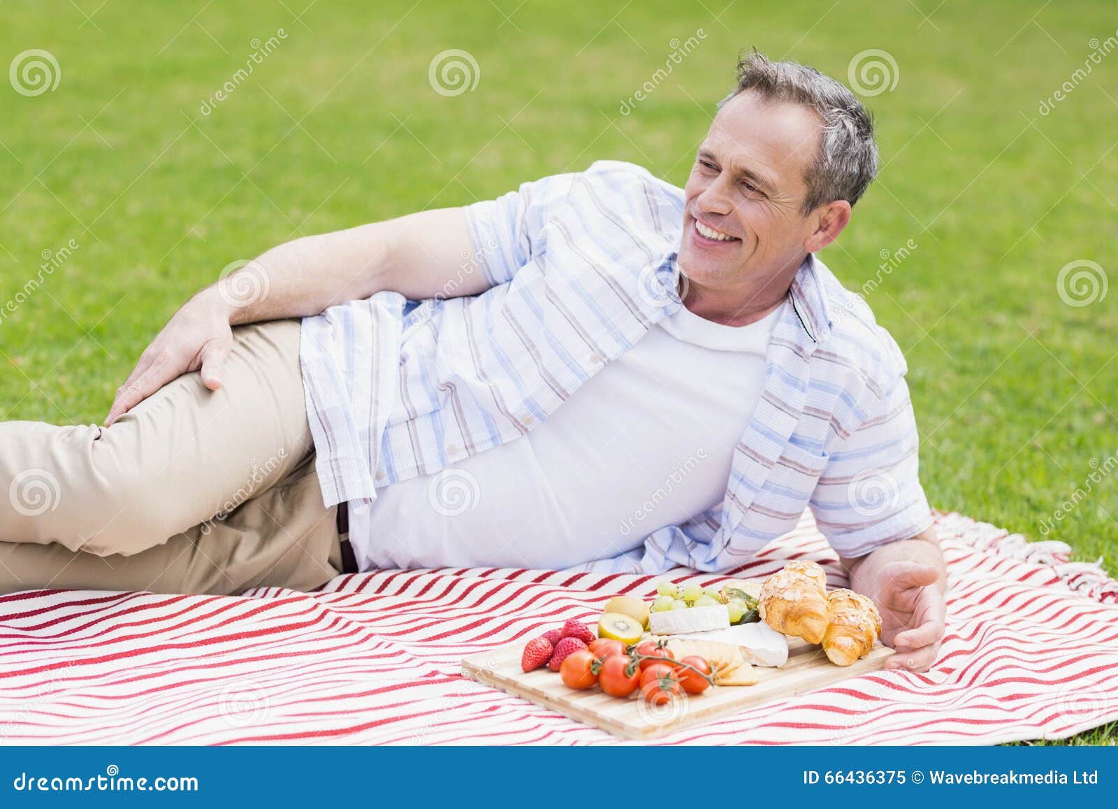 Happy man having a picnic stock image. Image of blanket 66436375