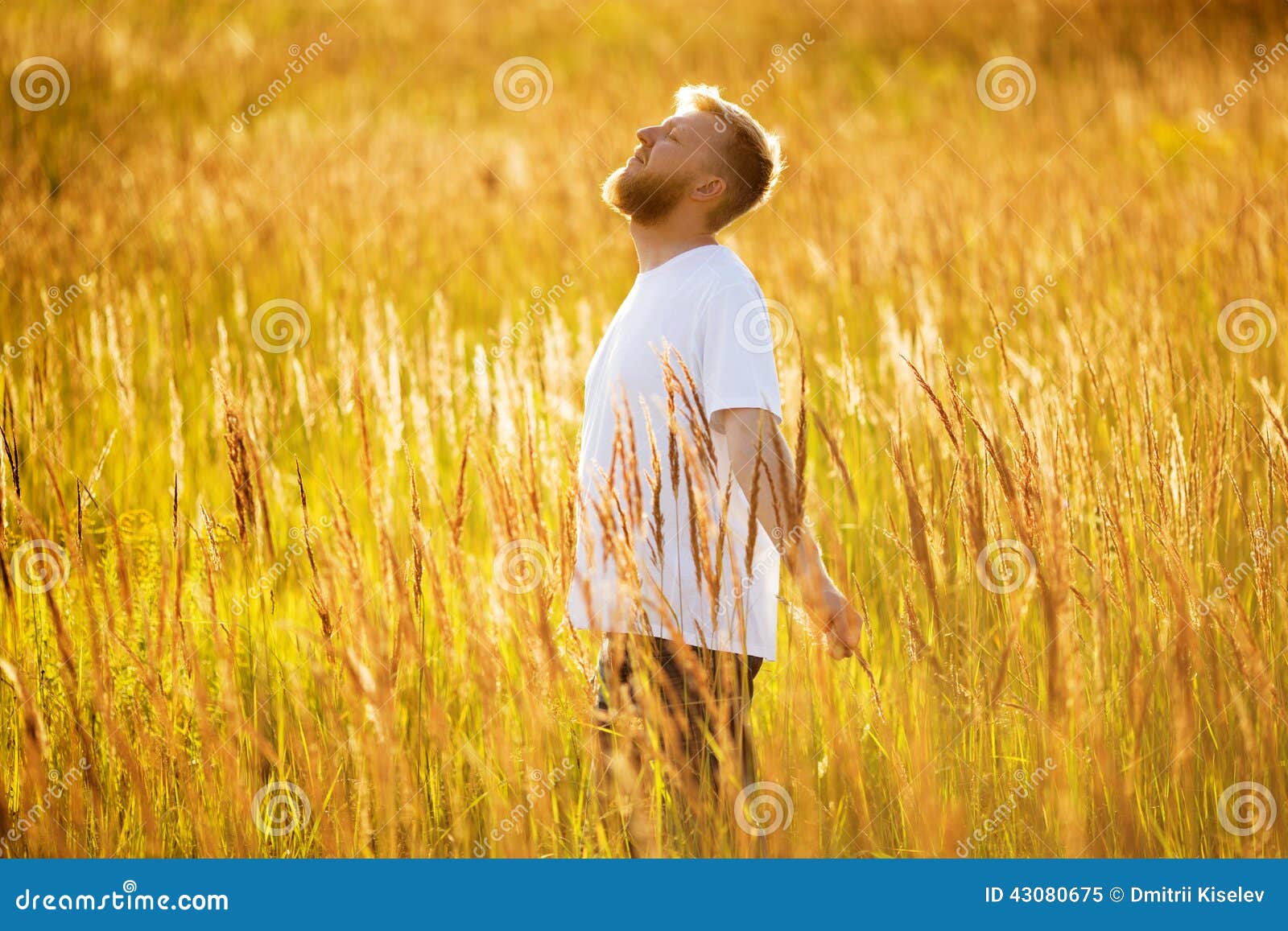 Happy Man Stands among the Meadow Grass Stock Image Image of bloke