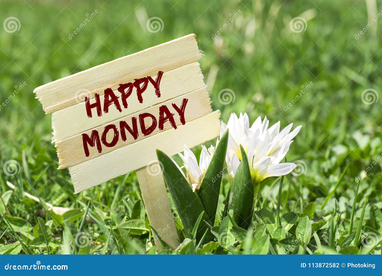 Happy Monday stock photo. Image of text, poster, joke - 113872582