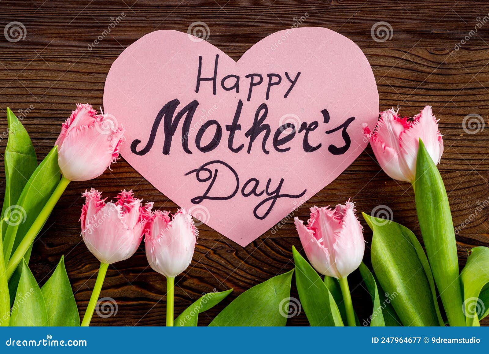 Happy Morhers Day Concept Tulip Flowers with Greeting Card Stock