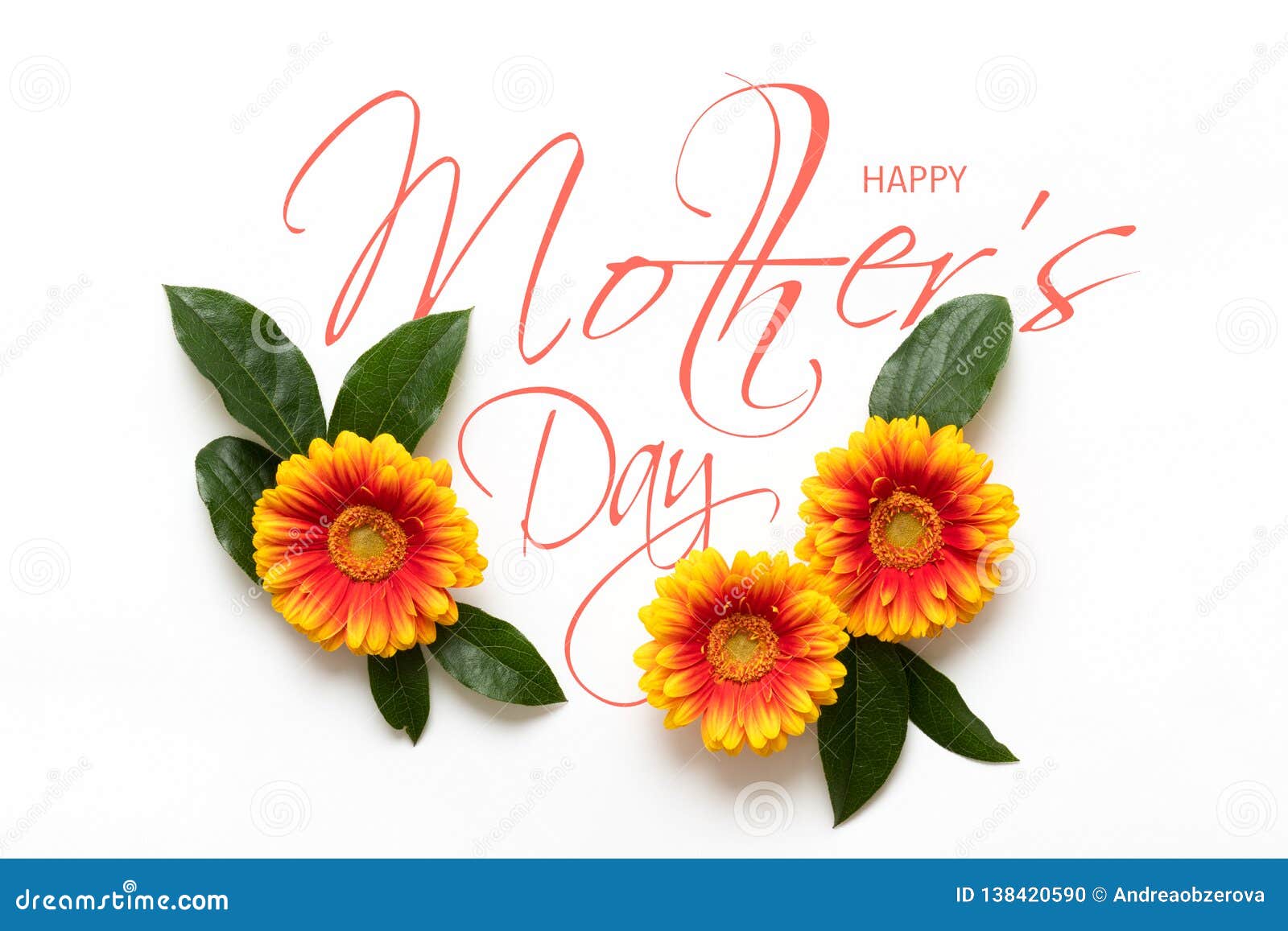 happy mother`s day background. flat lay greeting card with beautiful gerbera flowers on white background.