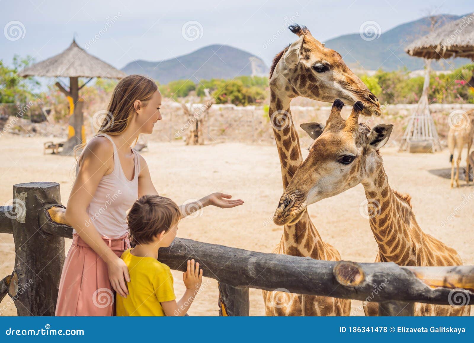 Happy Mother and Son Watching and Feeding Giraffe in Zoo. Happy Family  Having Fun with Animals Safari Park on Warm Stock Photo - Image of baby,  animals: 186341478