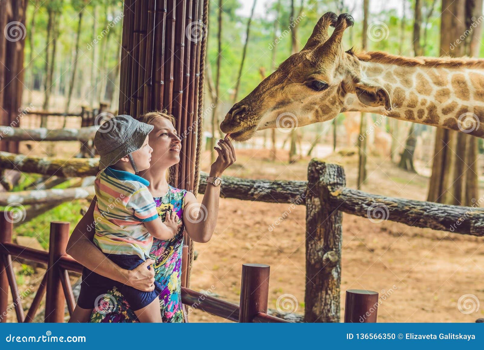 feed animals safari park near me feed animals safari park near me