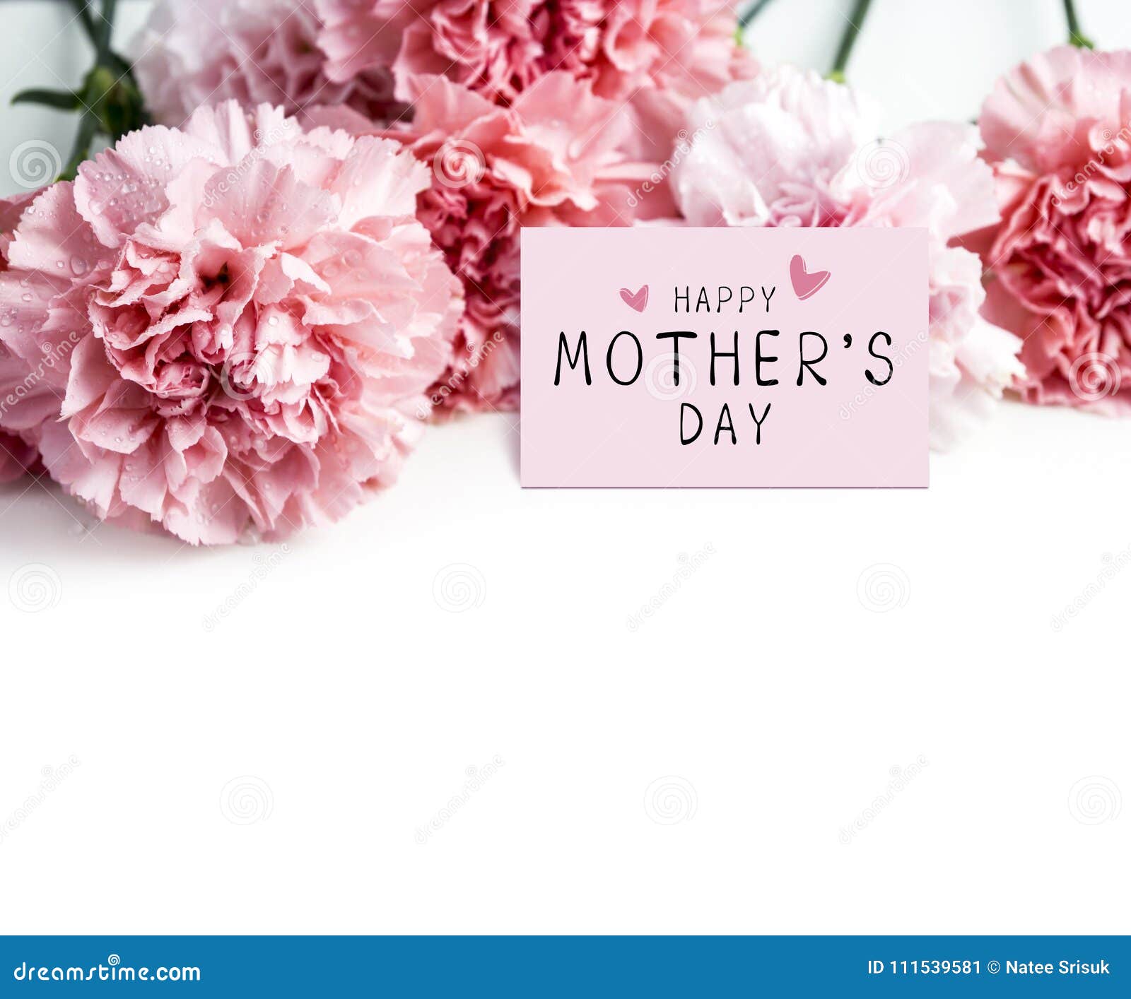 happy mothers day message on paper and pink carnation flower
