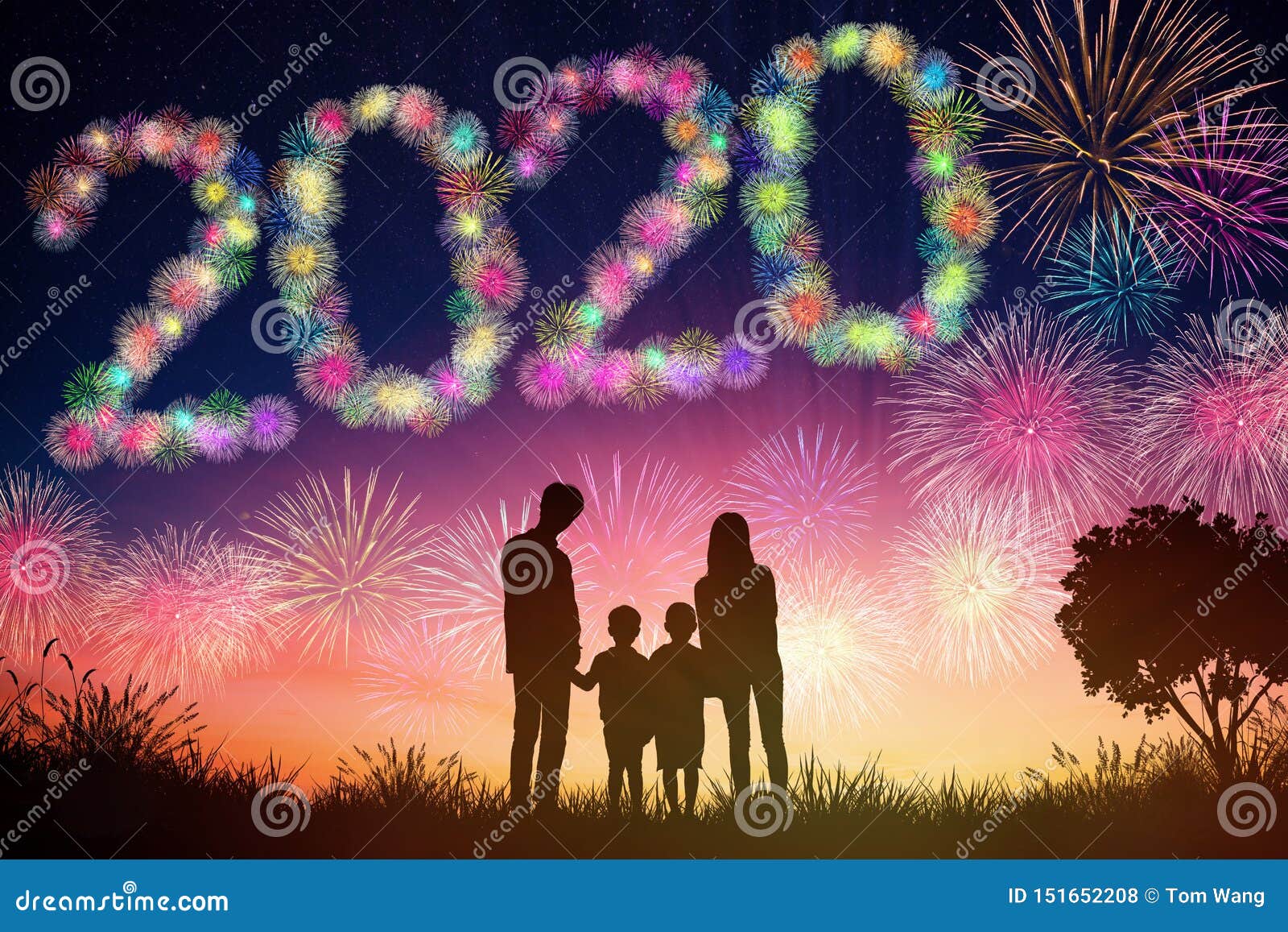 New Year 2020 Concepts. Family Watching Fireworks on Hill Stock ...