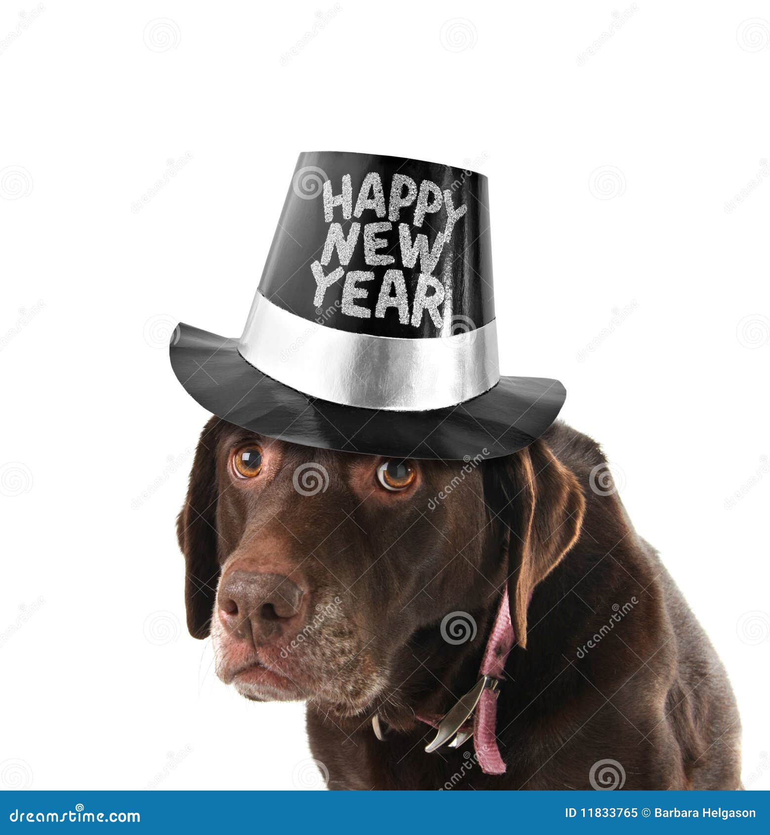 happy new year dog clipart - photo #33