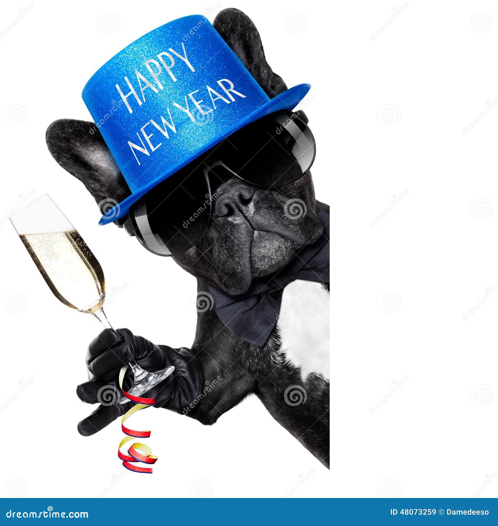 Happy New Year Dog Stock Photo Image 48073259